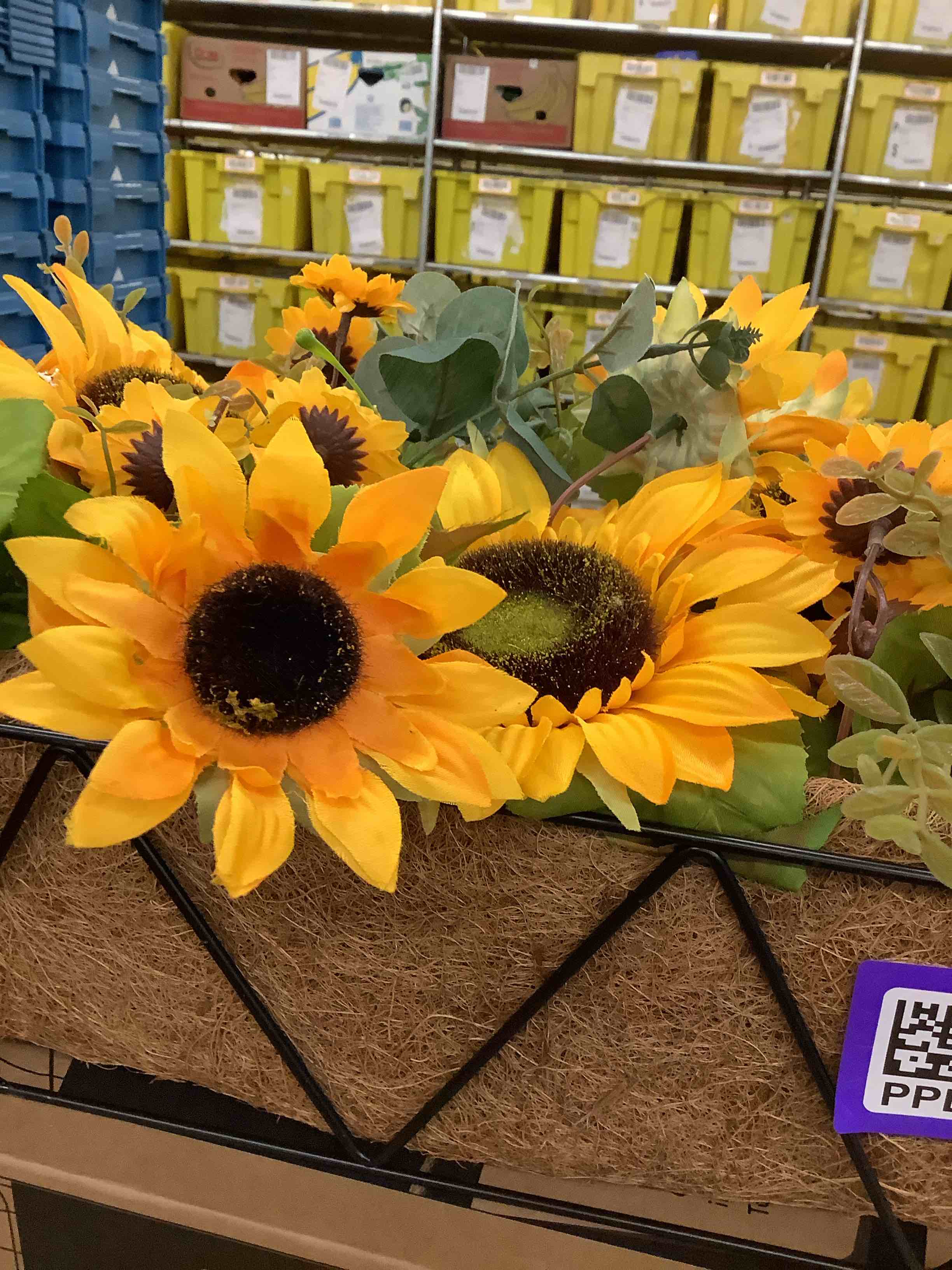 https://s3.amazonaws.com/lotting-images-prod/TheJayGroupLtd/PPE5127946_1777308841304.jpeg