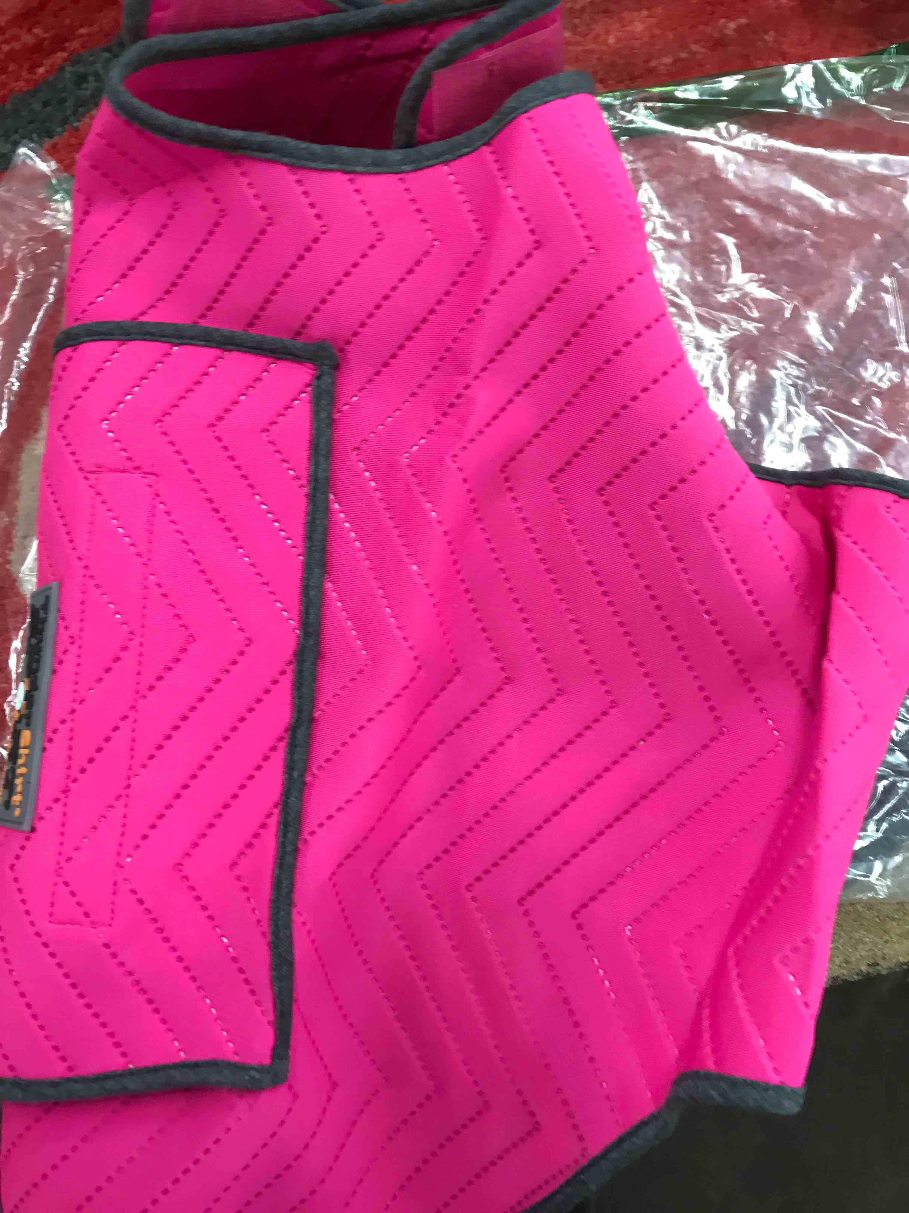 Thunder Shirt for dogs