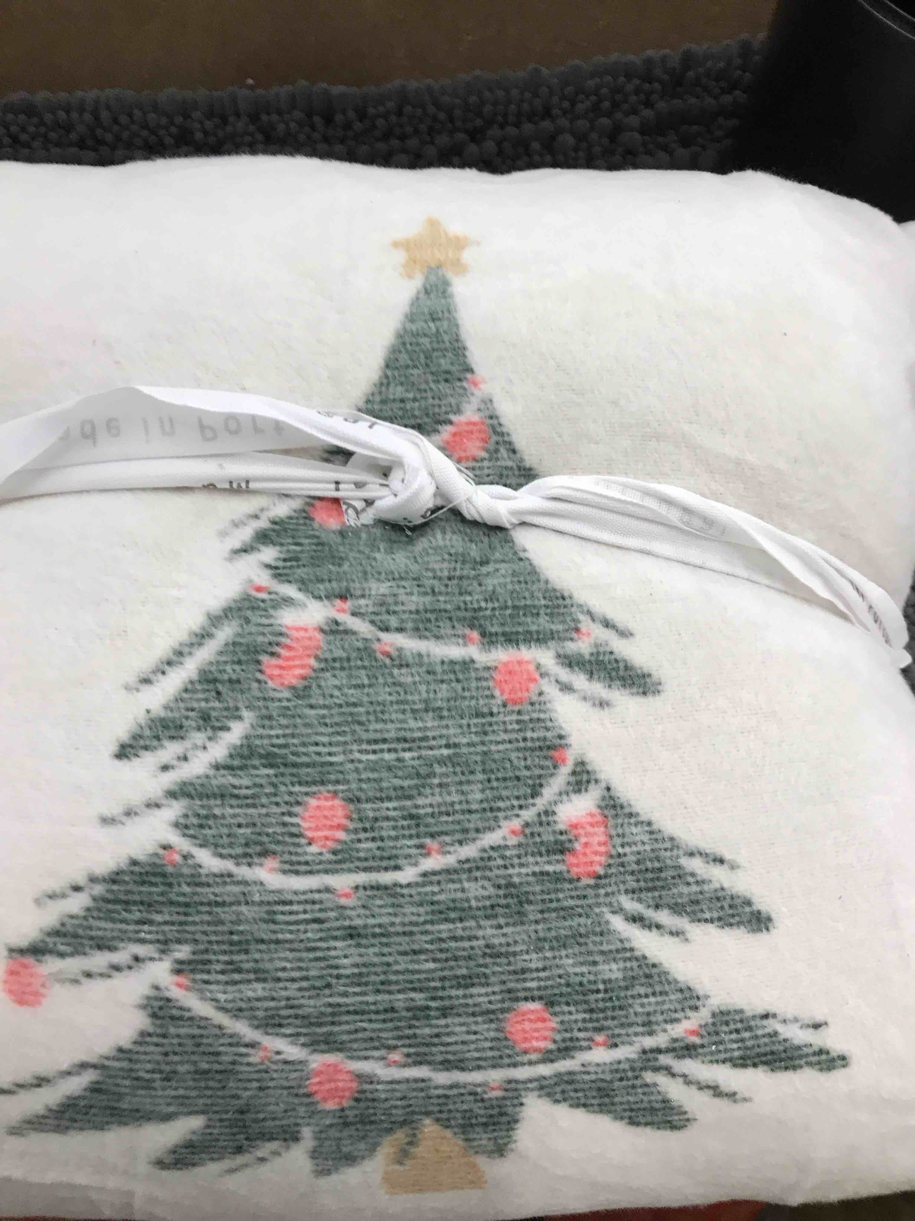 set of 2 decorative pillows 