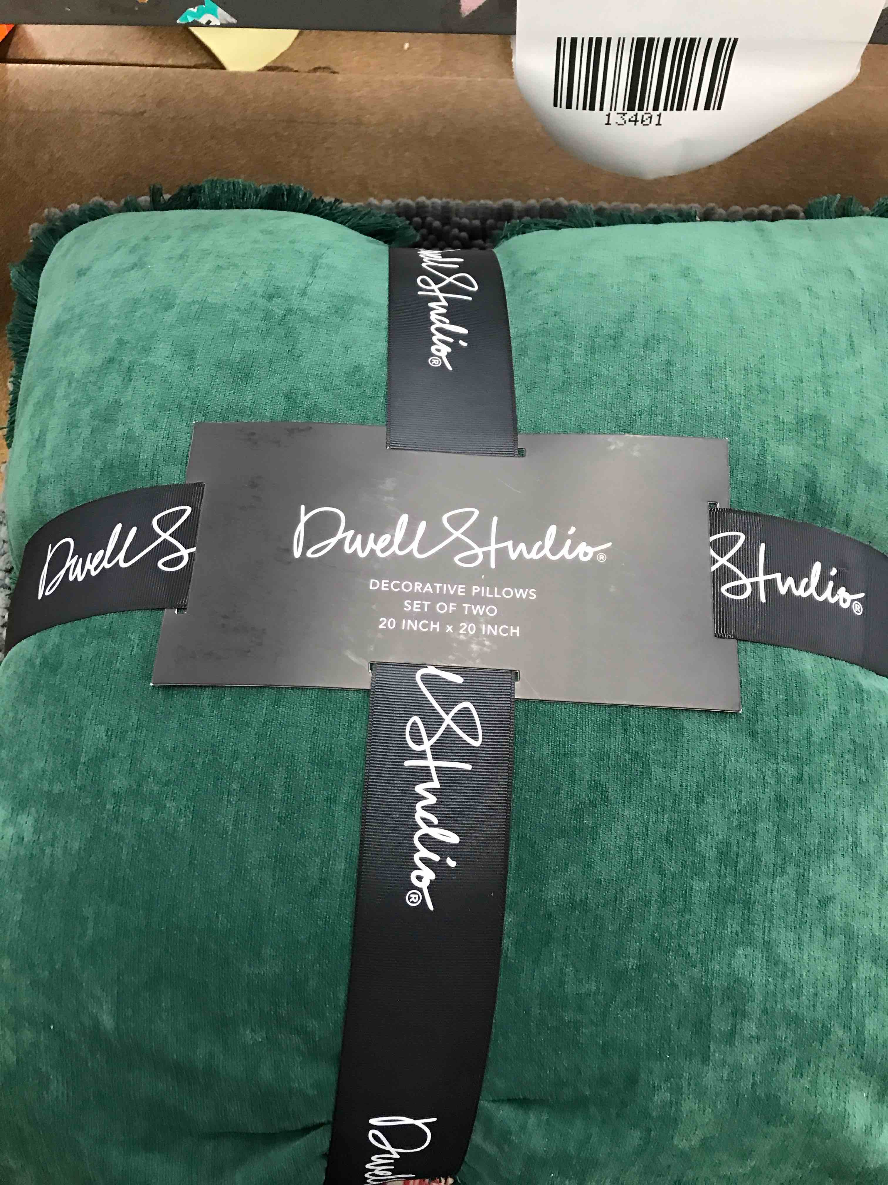 Dwell Studio Decorative Pillows Set of 2