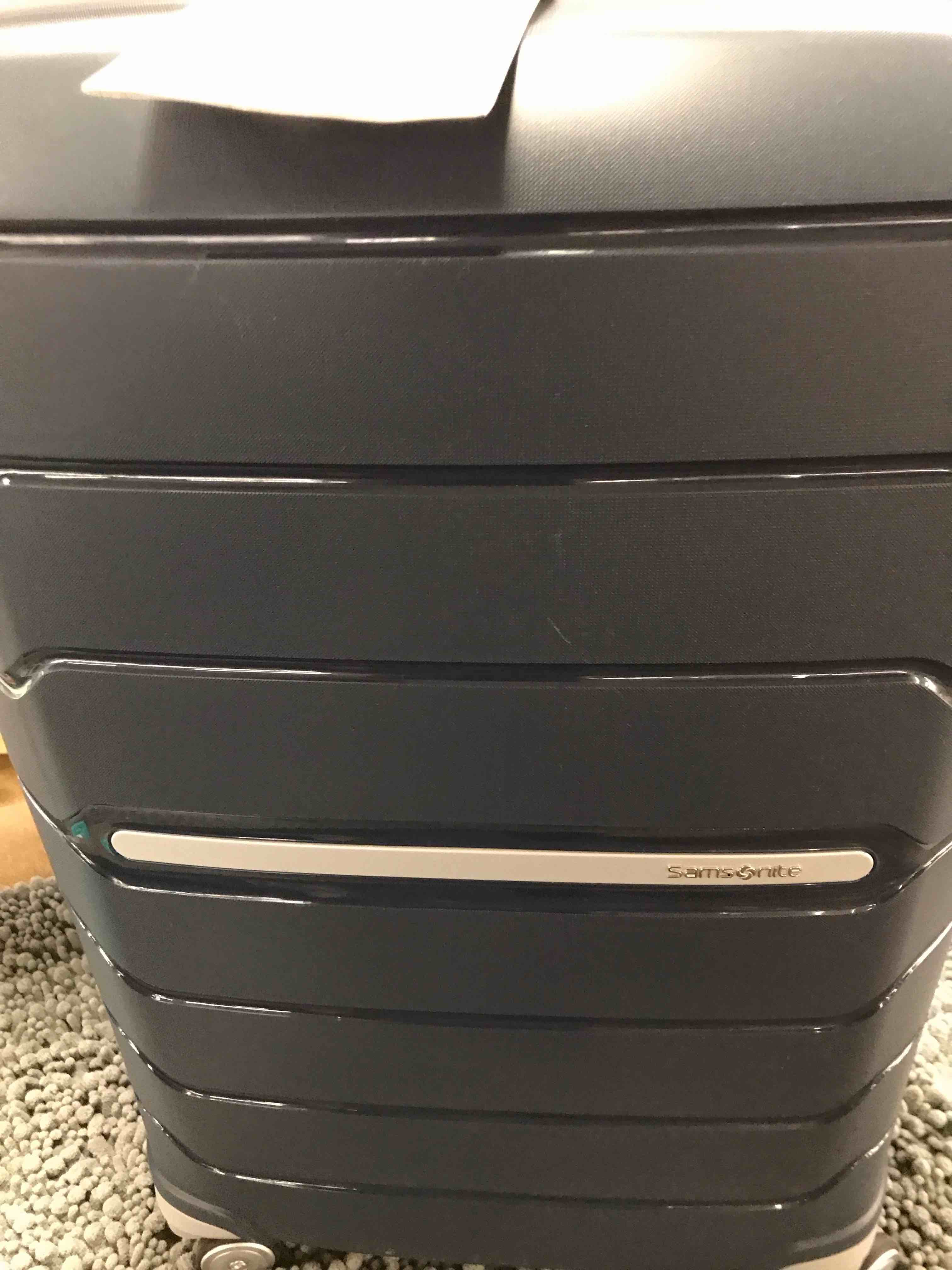 Fresh Finds & Fan Favorites