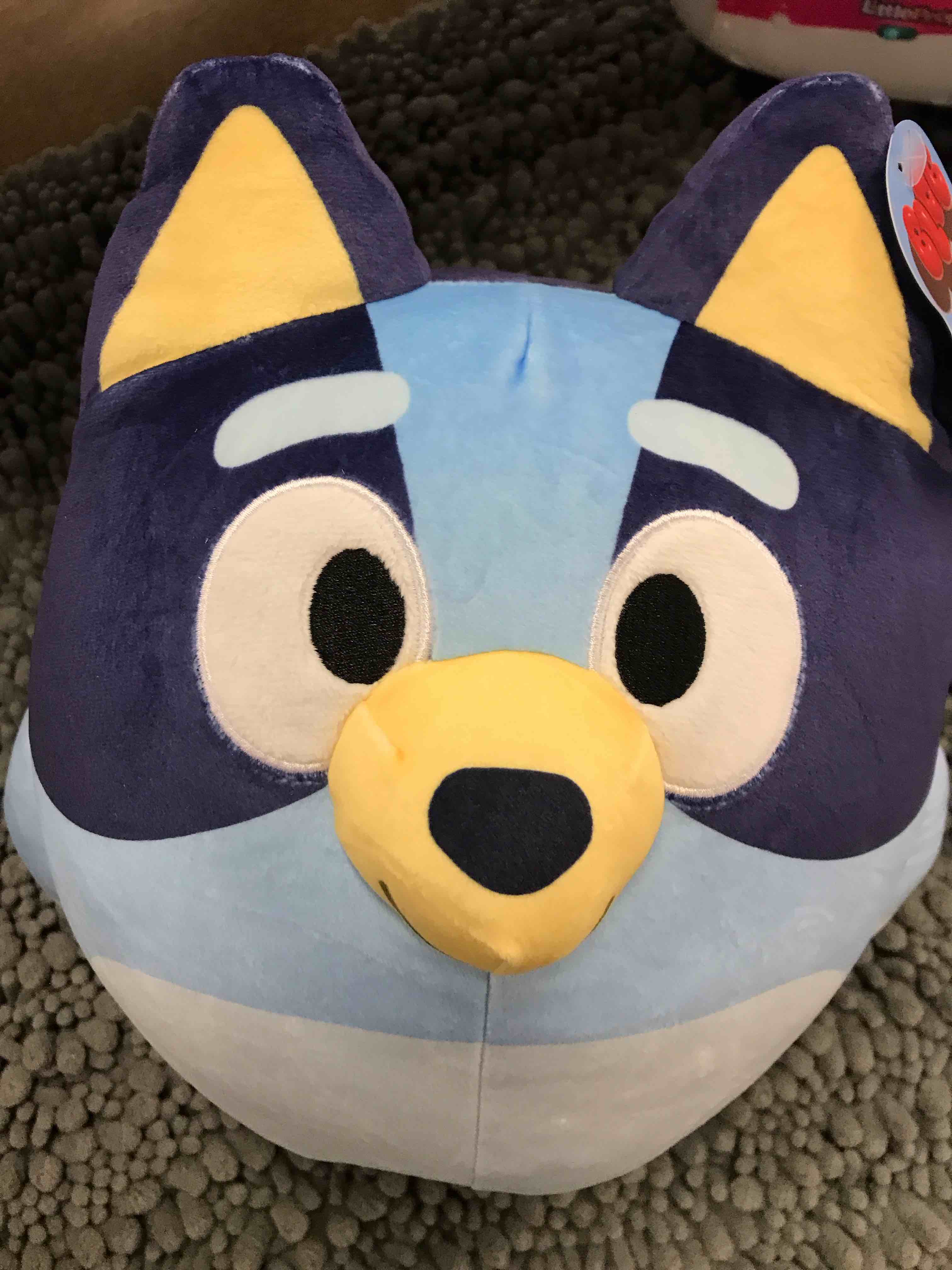 Bluey Pillow