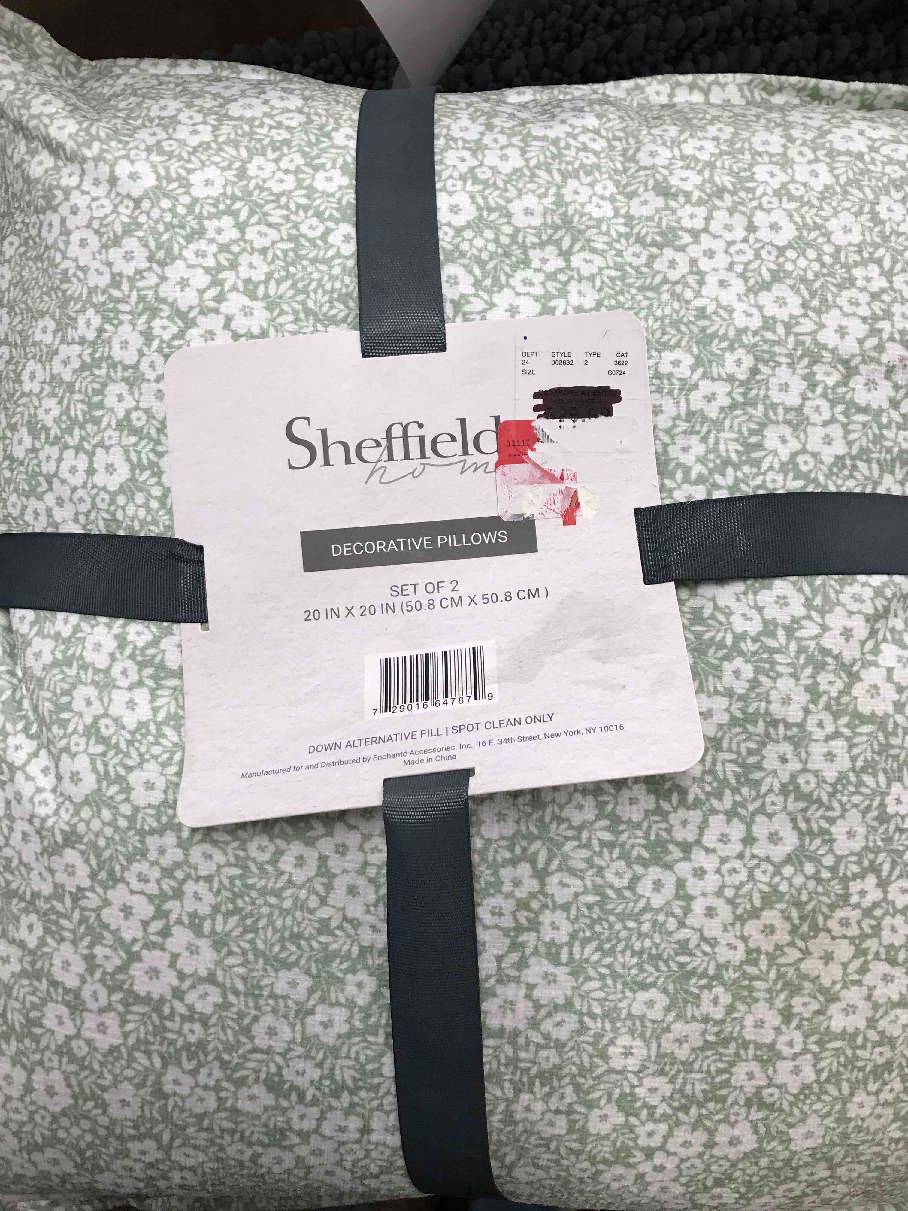 set of 2 decorative pillows 