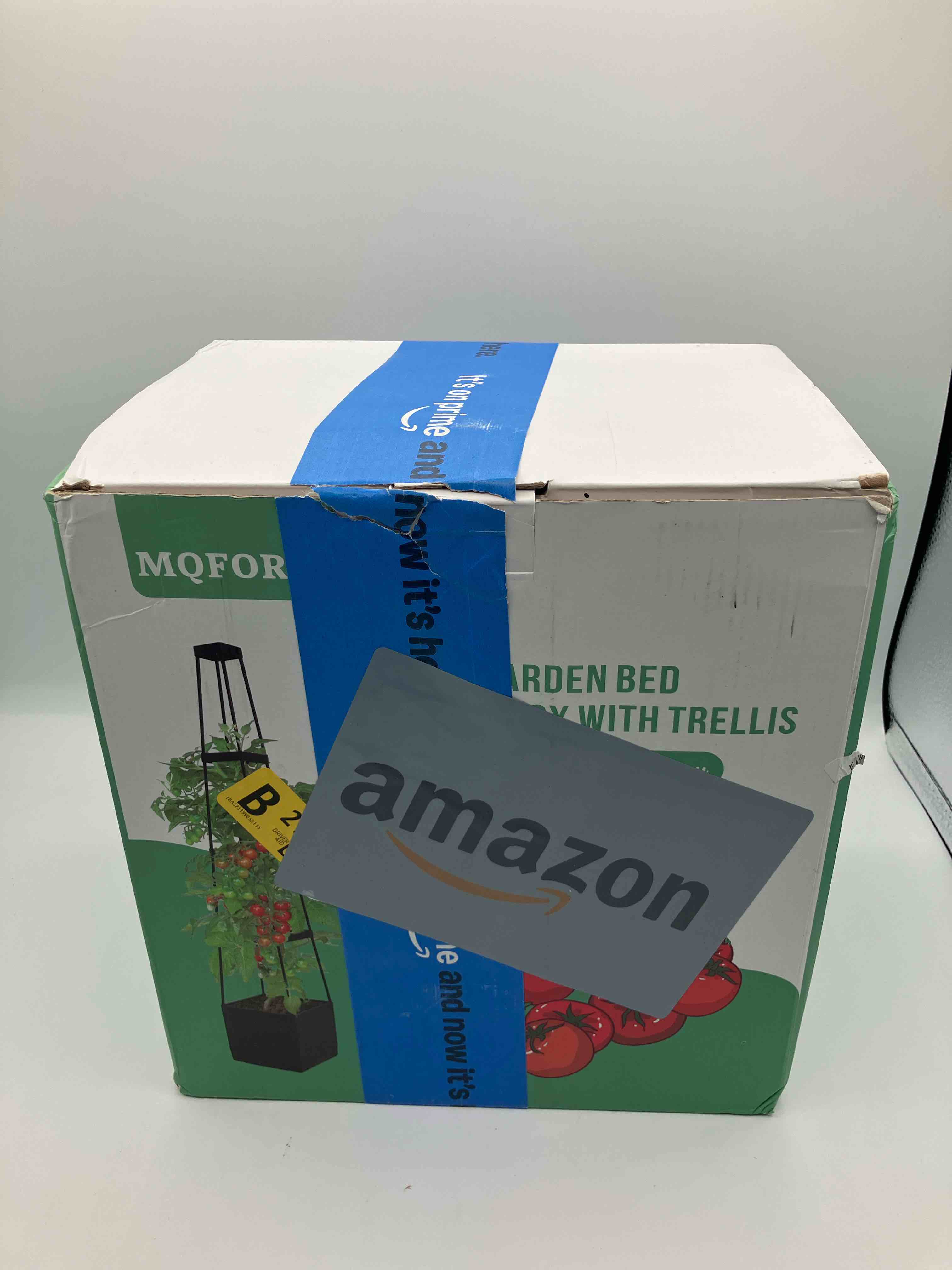 https://s3.amazonaws.com/lotting-images-prod/TrevorC/BRN3535177_1757173226729.jpeg