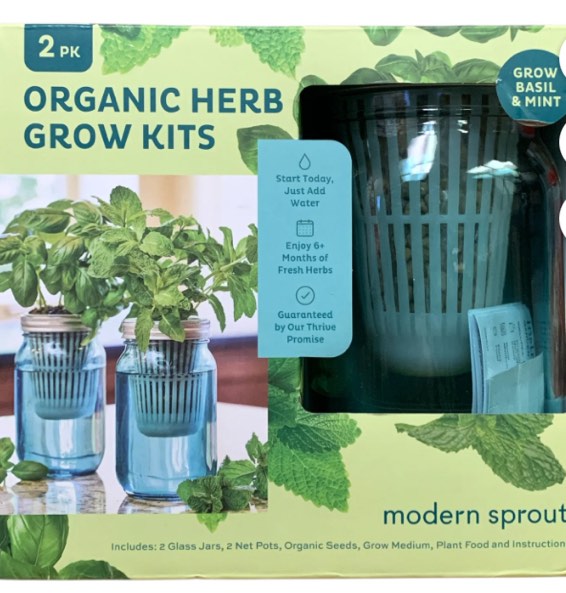 Modern Sprouts Organic Herb Grow Kit 2pk