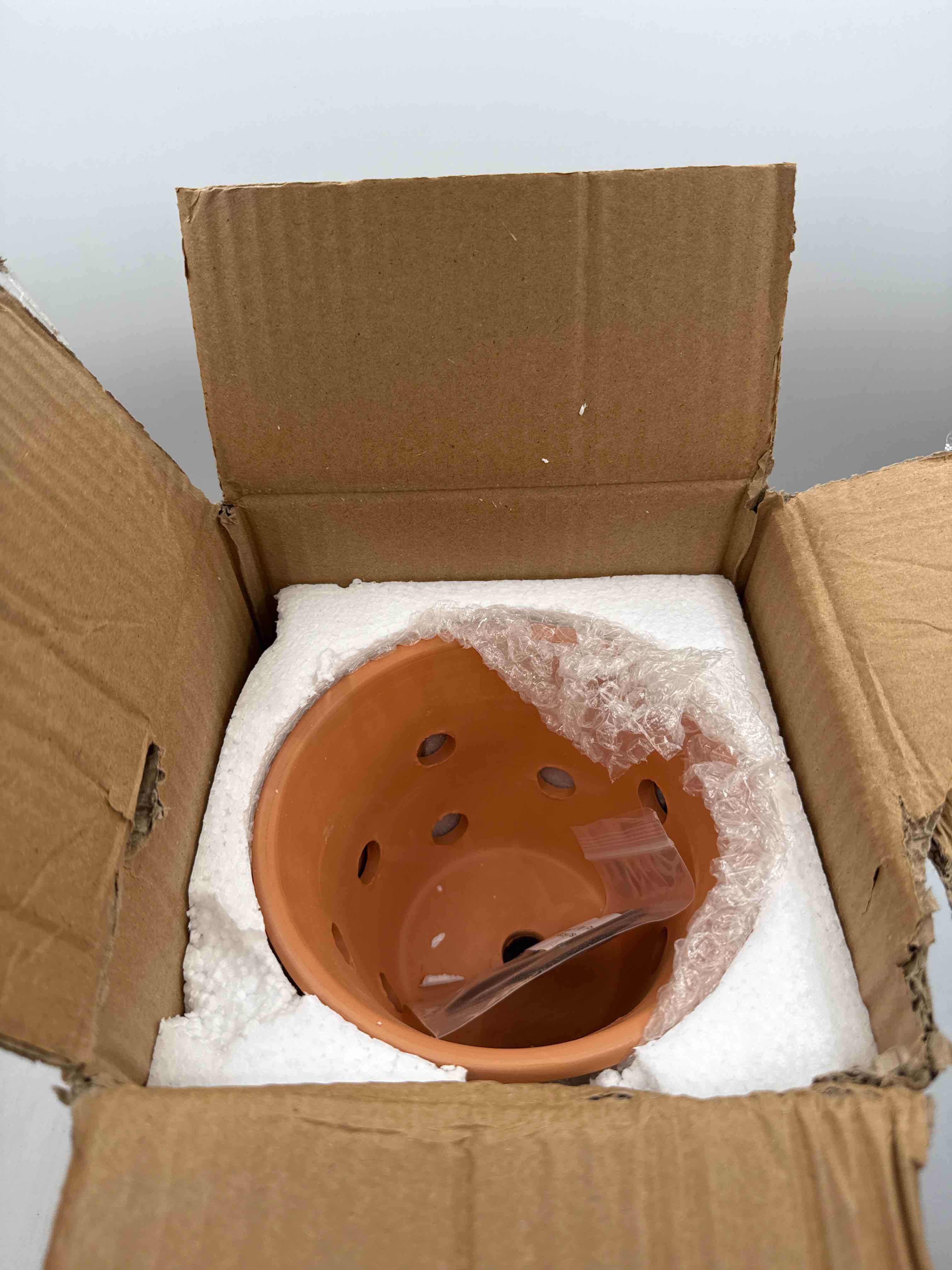 https://s3.amazonaws.com/lotting-images-prod/TrevorC/BRN3536013_1760051015676.jpeg