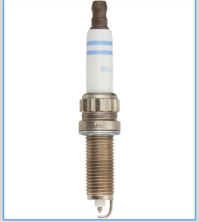 Focus on These Bids!