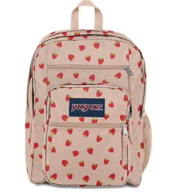 JanSport Laptop Backpack - Computer Bag with 2 Compartments, Ergonomic Shoulder Straps, 15” Laptop Sleeve, Haul Handle - Book Rucksack - Strawberry Shower