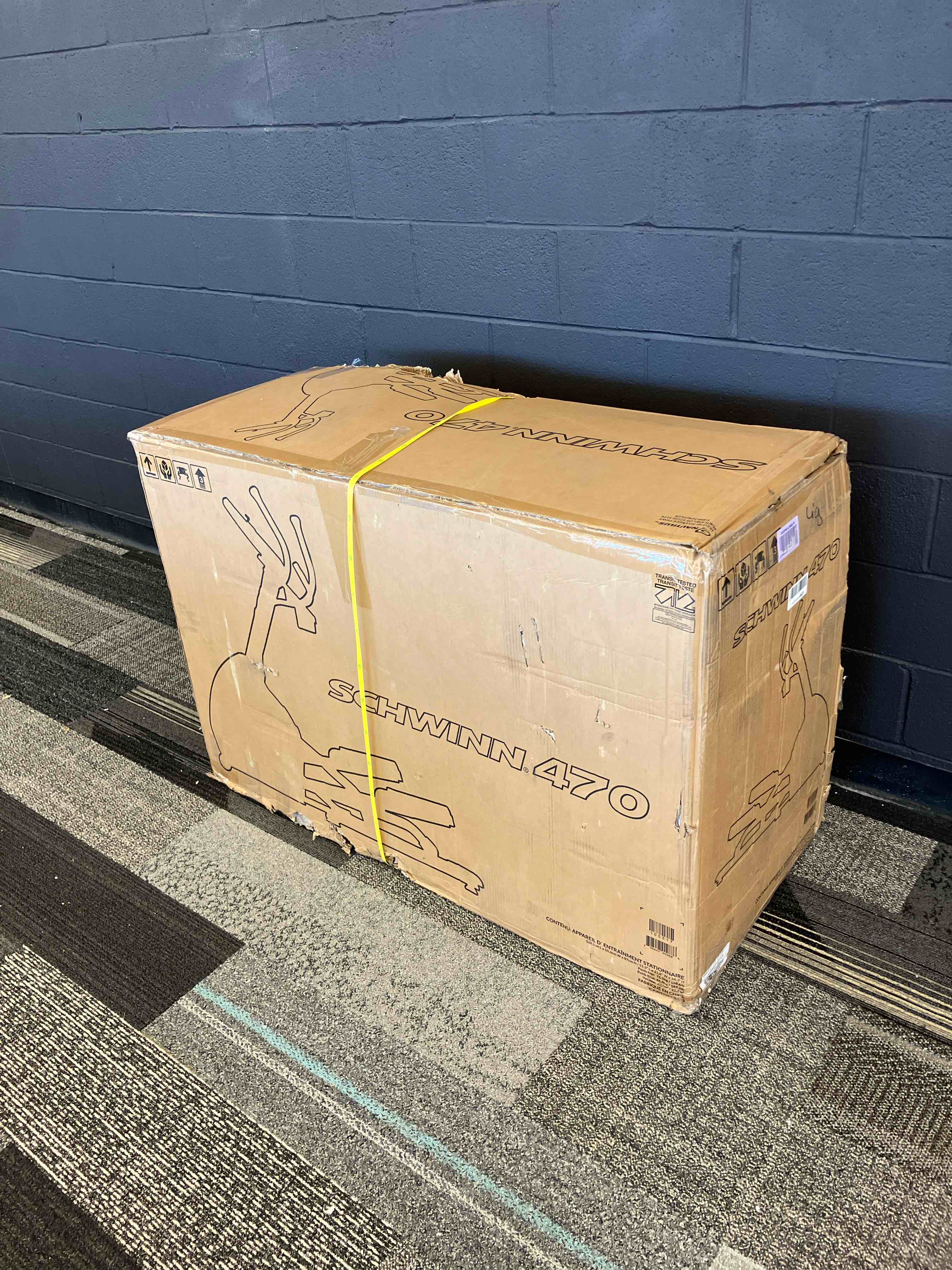 https://s3.amazonaws.com/lotting-images-prod/TrevorC/GRA3628228_1755807257889.jpeg