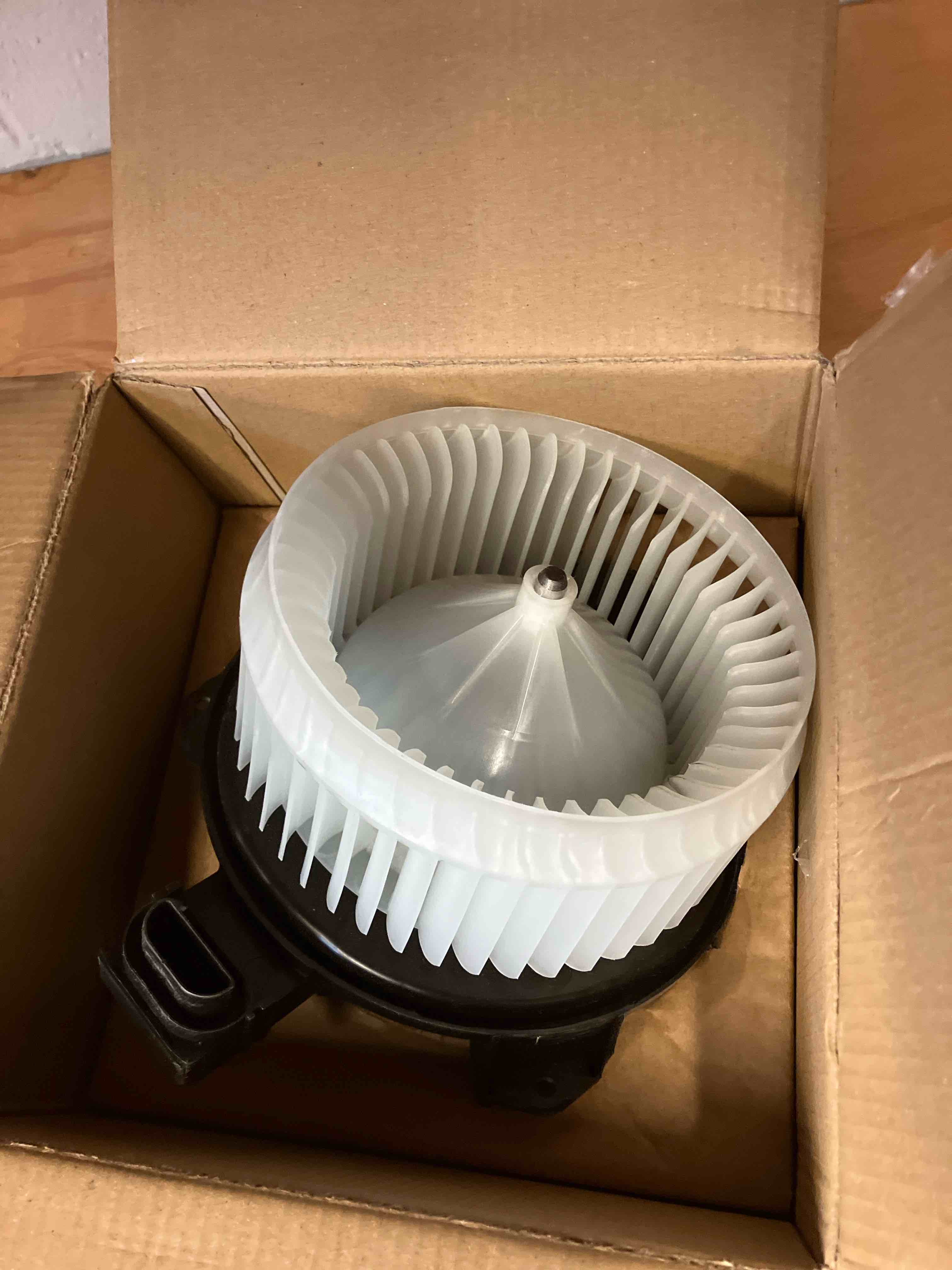 https://s3.amazonaws.com/lotting-images-prod/TrevorC/GRA3628643_1758207656771.jpeg