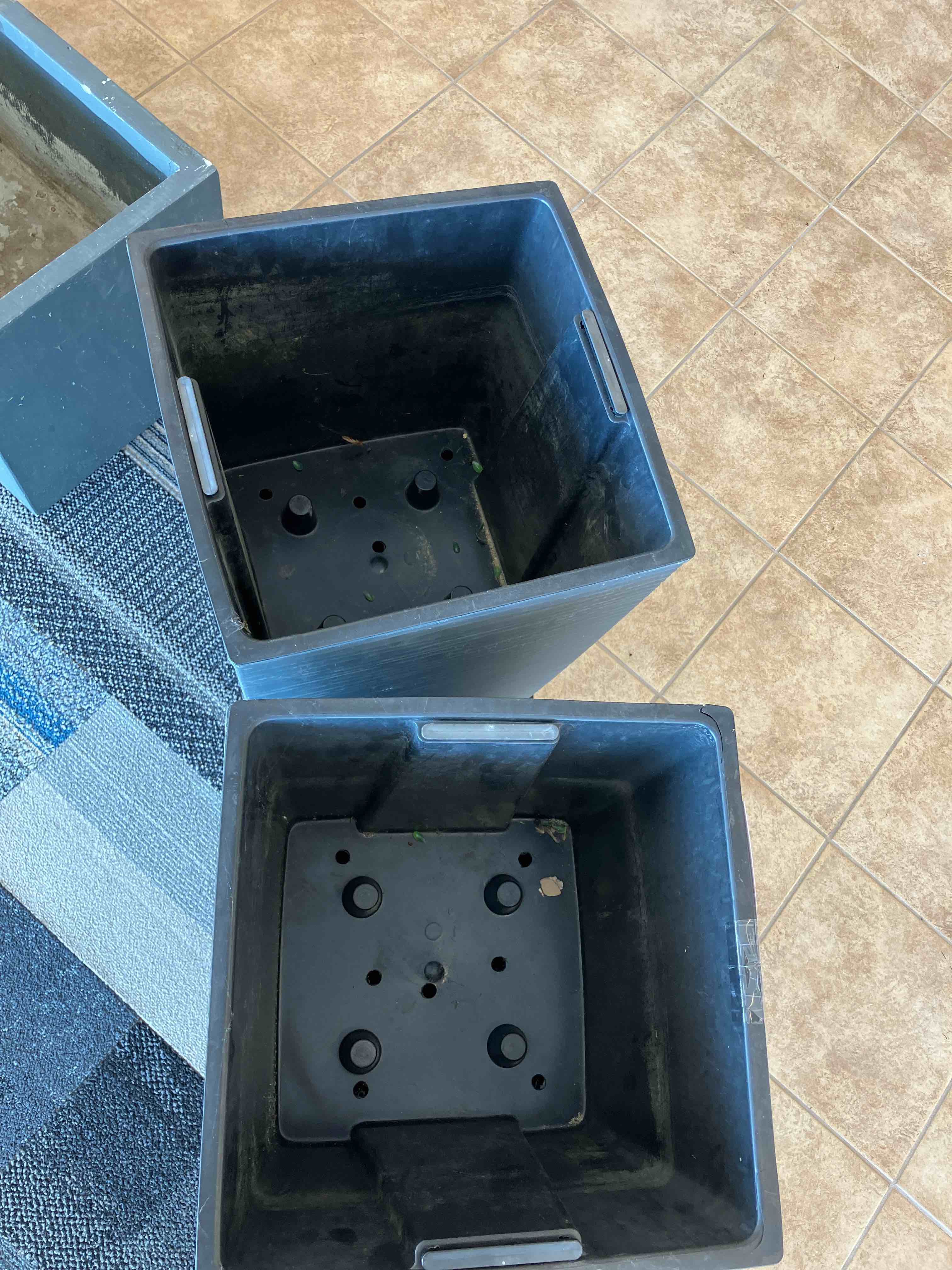 https://s3.amazonaws.com/lotting-images-prod/TrevorC/GRA3629030_1759177209847.jpeg