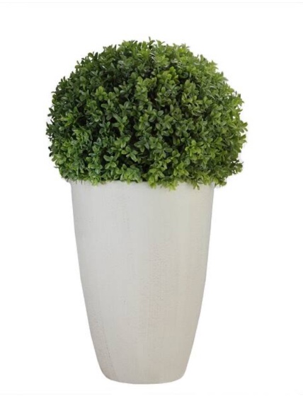 27in Potted White and Green Artificial Boxwood Plant