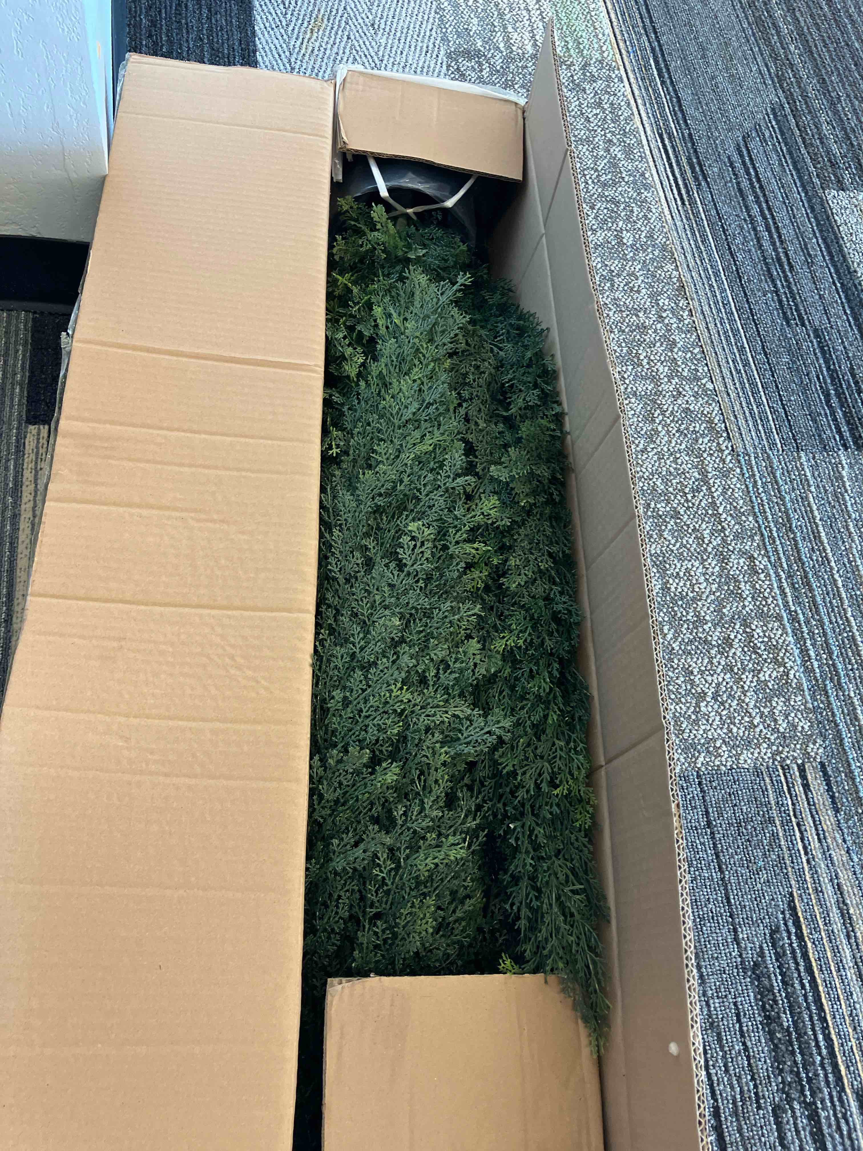 https://s3.amazonaws.com/lotting-images-prod/TrevorC/GRA3629048_1759180561248.jpeg