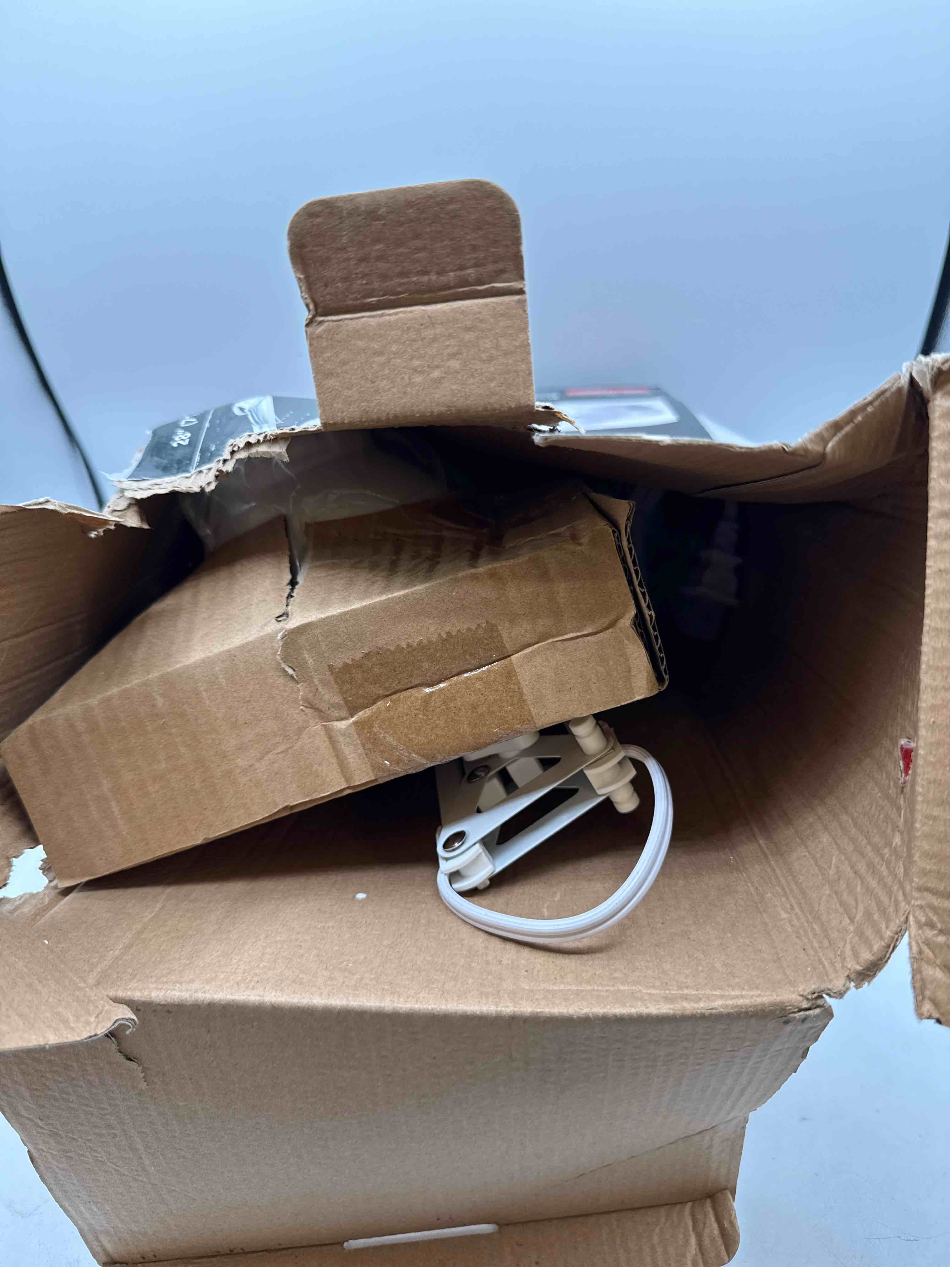 https://s3.amazonaws.com/lotting-images-prod/TrevorC/PPE3592638_1759006589697.jpeg