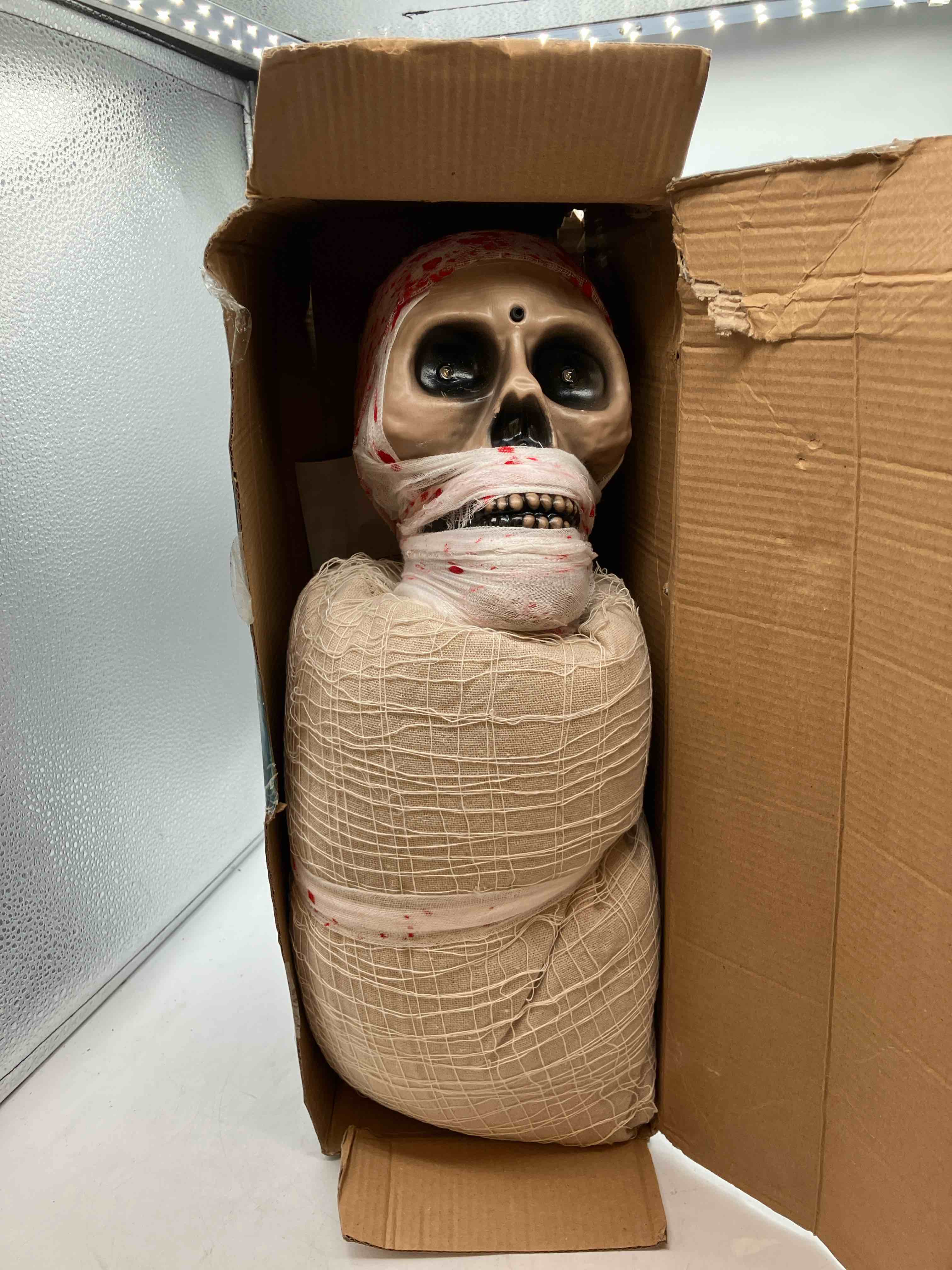 https://s3.amazonaws.com/lotting-images-prod/TrevorC/PPE3592656_1759008405773.jpeg