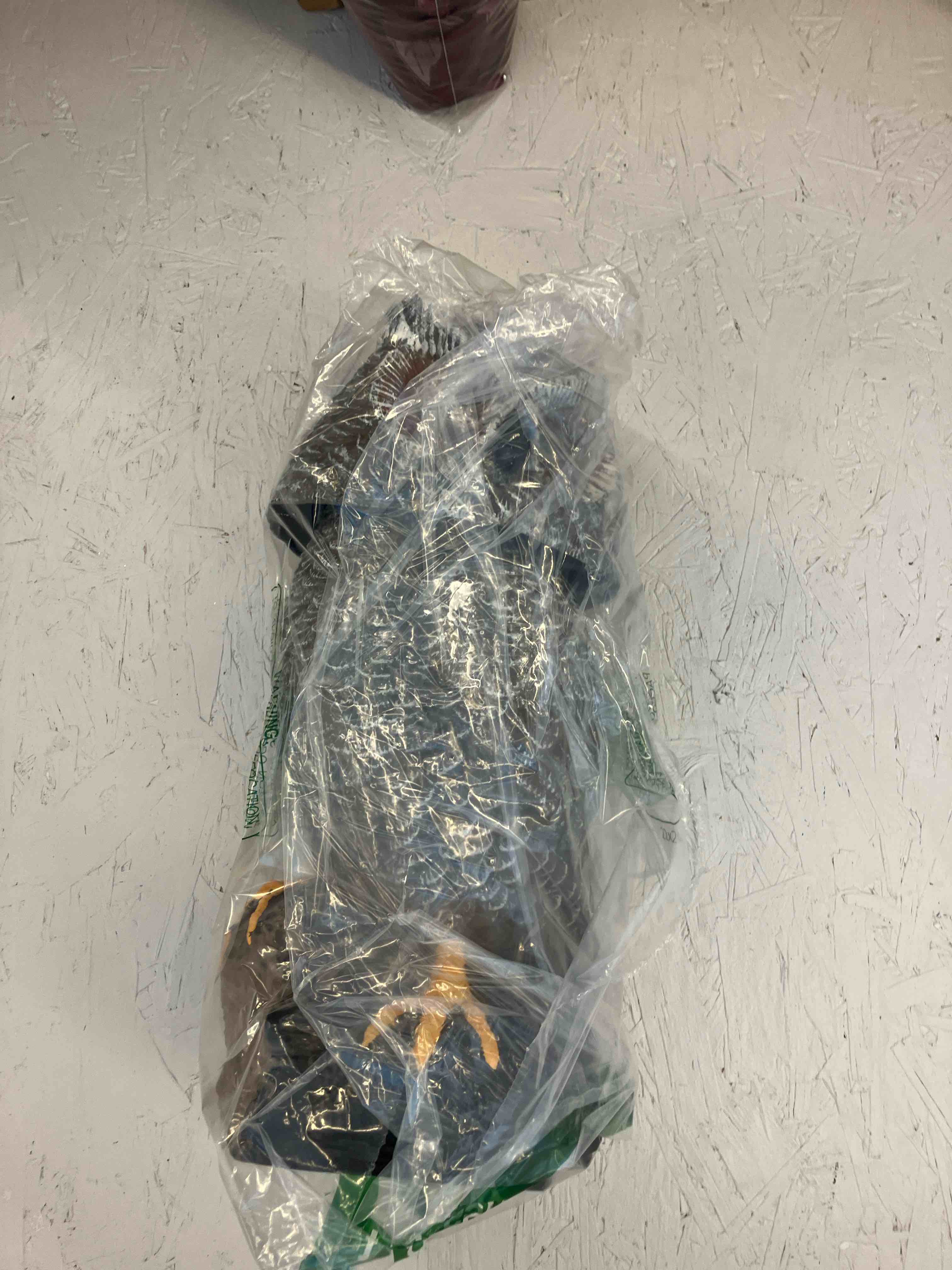 https://s3.amazonaws.com/lotting-images-prod/TrevorC/PPE3592851_1759776913237.jpeg