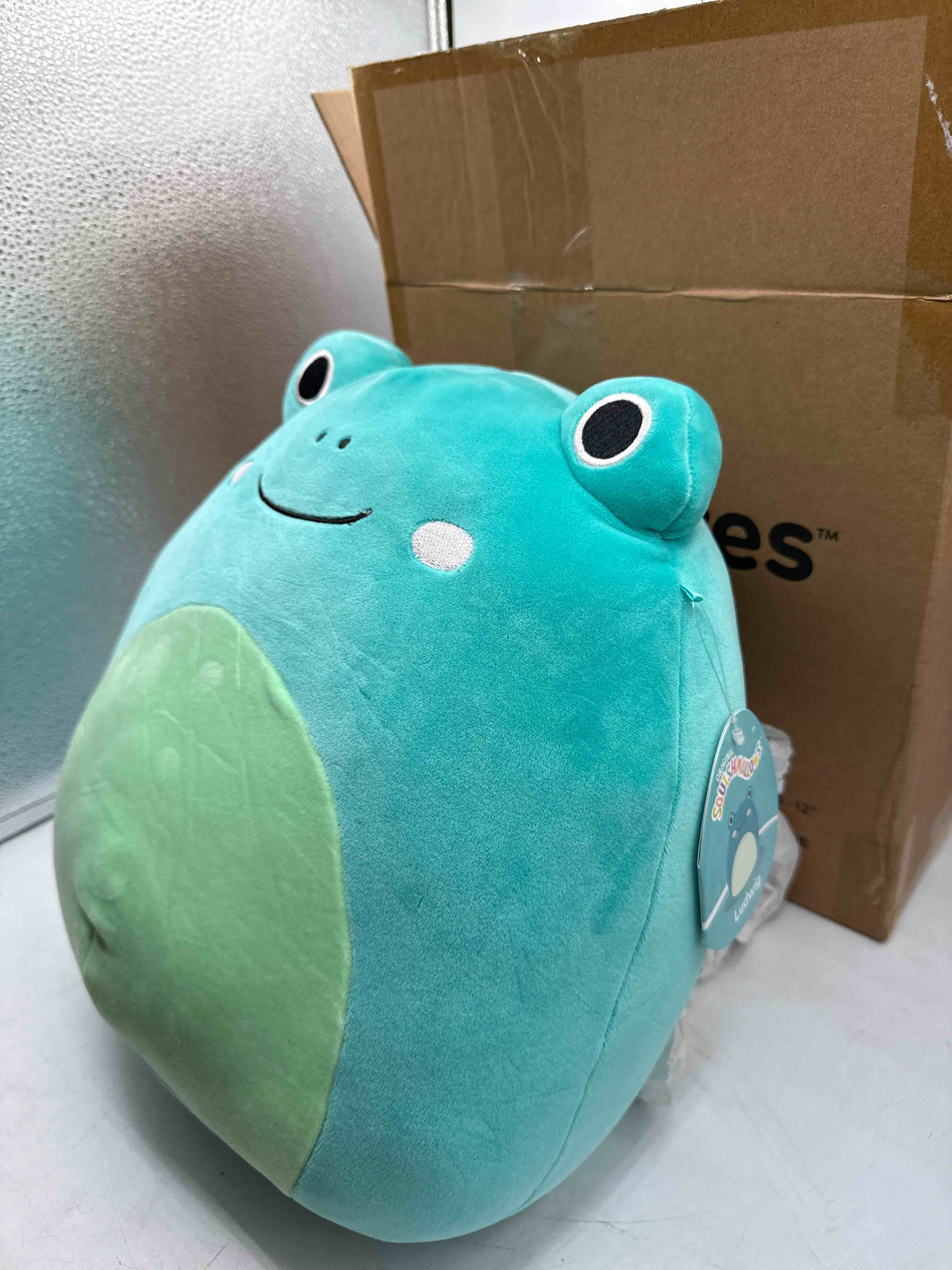https://s3.amazonaws.com/lotting-images-prod/TrevorC/PPE3592879_1759857493346.jpeg