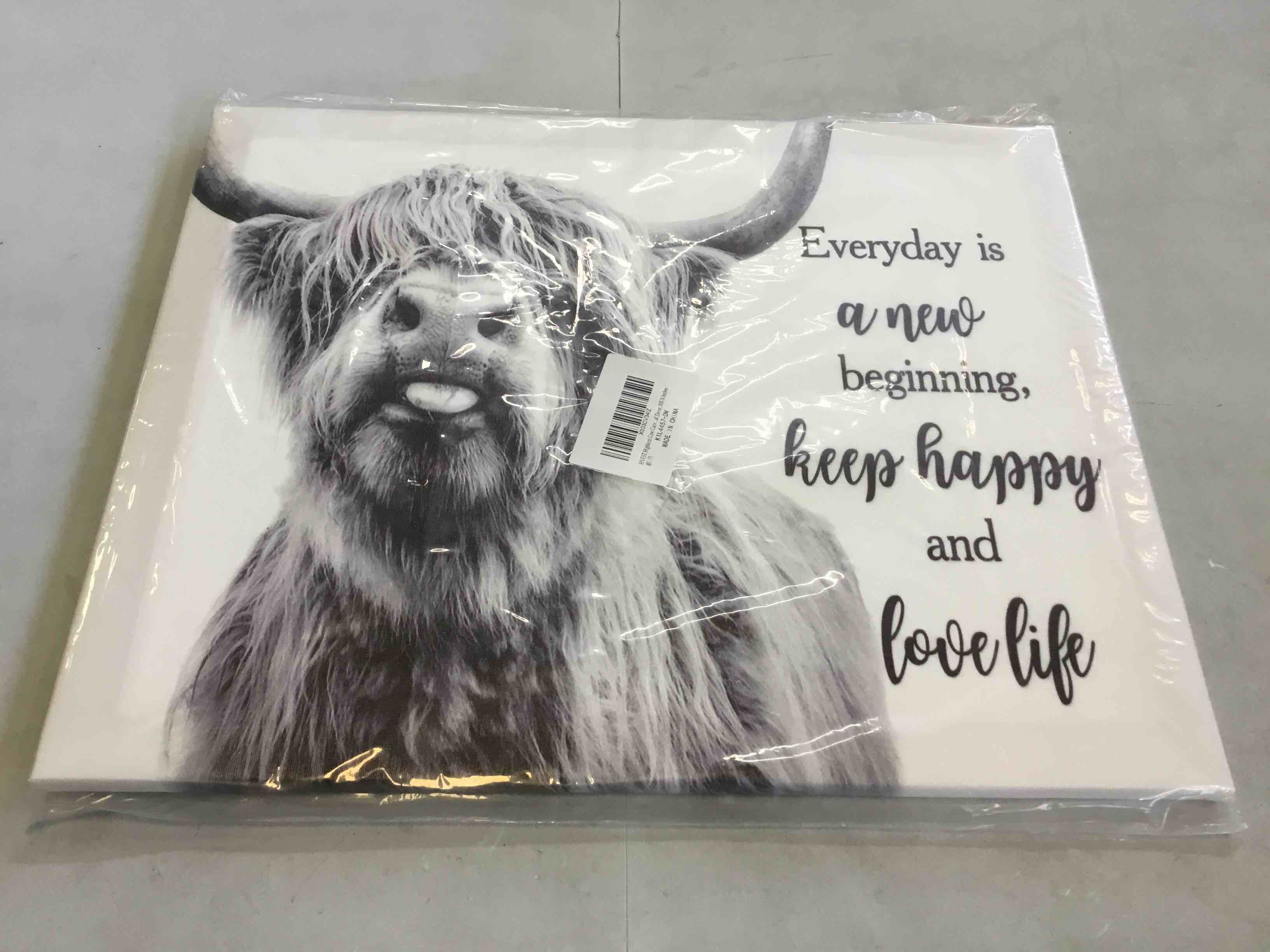 Highland Cow Canvas Wall Decor 20” x 16”