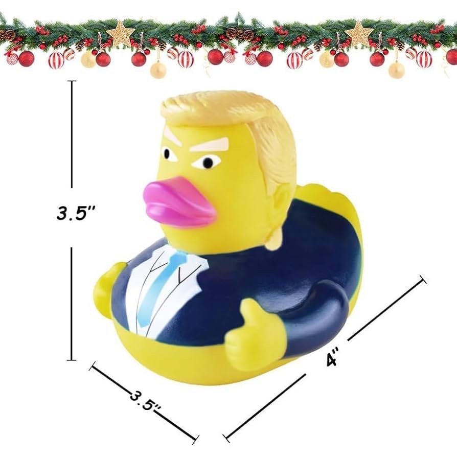 https://s3.amazonaws.com/lotting-images-prod/X0042XHN4N_1755716074922.jpeg
