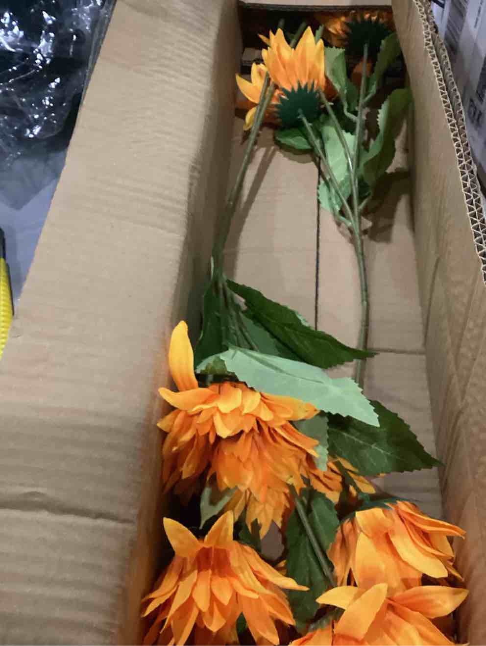 https://s3.amazonaws.com/lotting-images-prod/X004CL17VF_1753192299788.jpeg