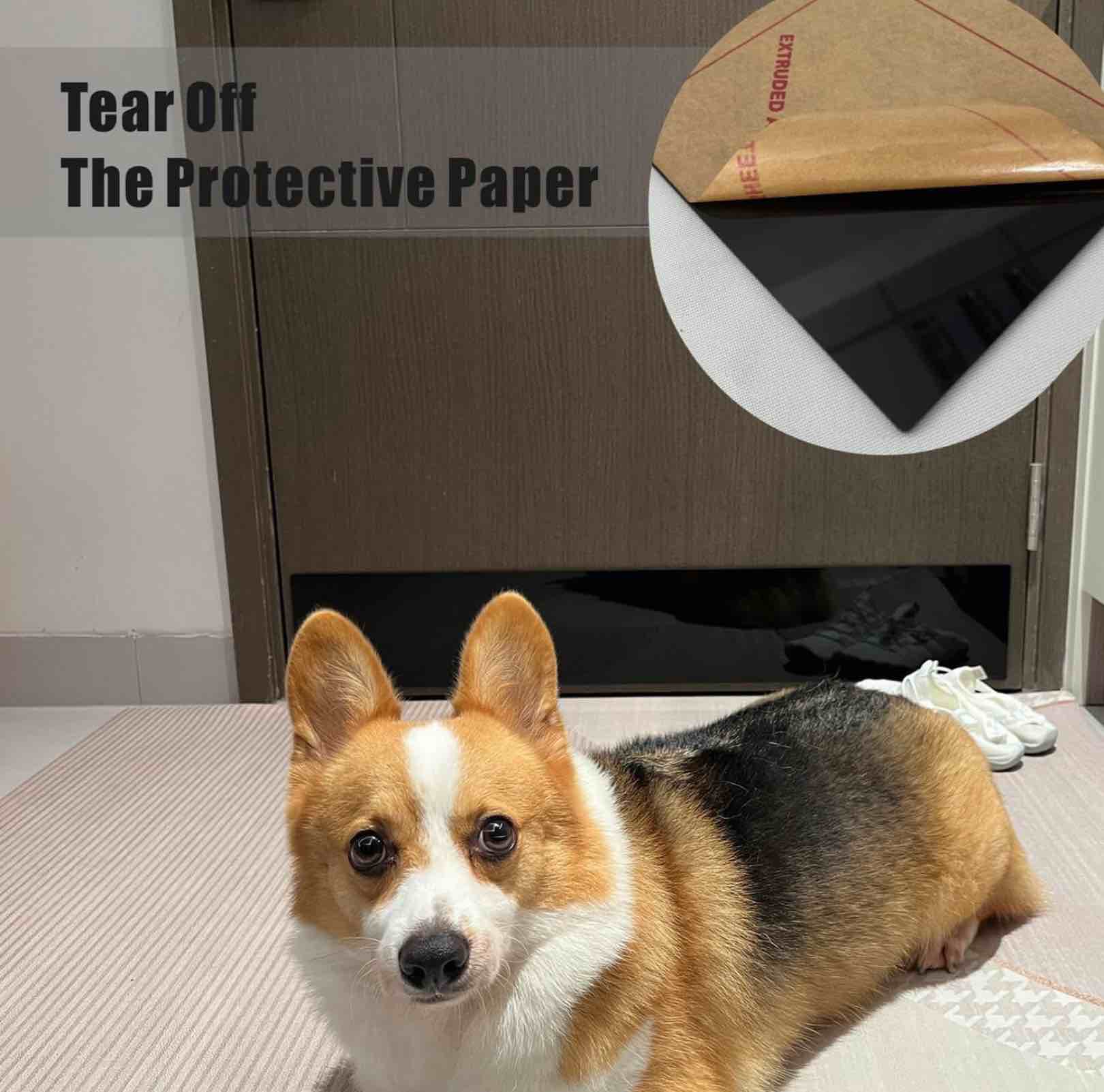 https://s3.amazonaws.com/lotting-images-prod/X004FJ8O9R_1745947951352.jpeg