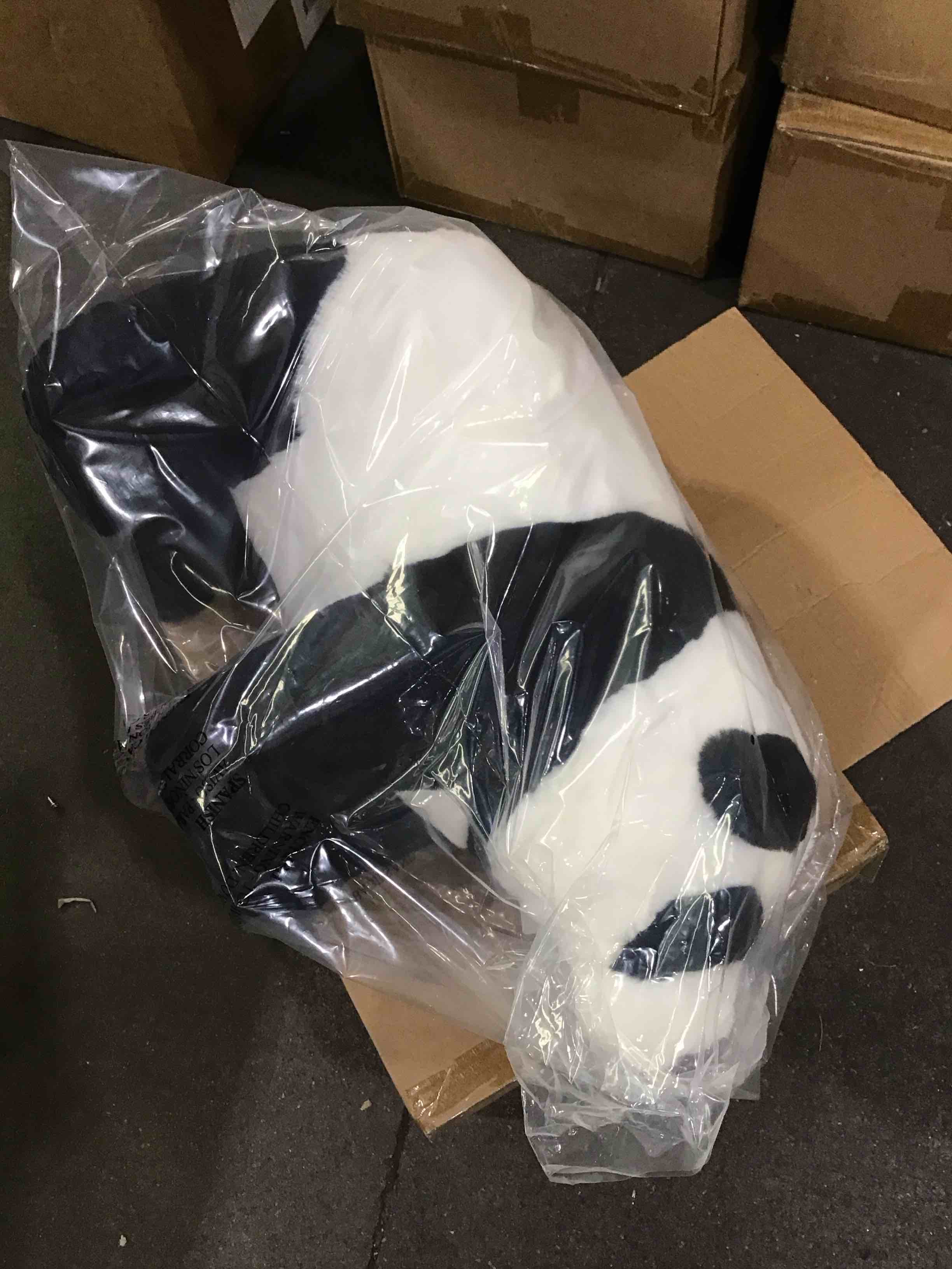 https://s3.amazonaws.com/lotting-images-prod/X004M7SNXJ_1751307859742.jpeg