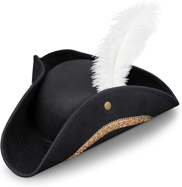 Costume Hat with Feather Black
