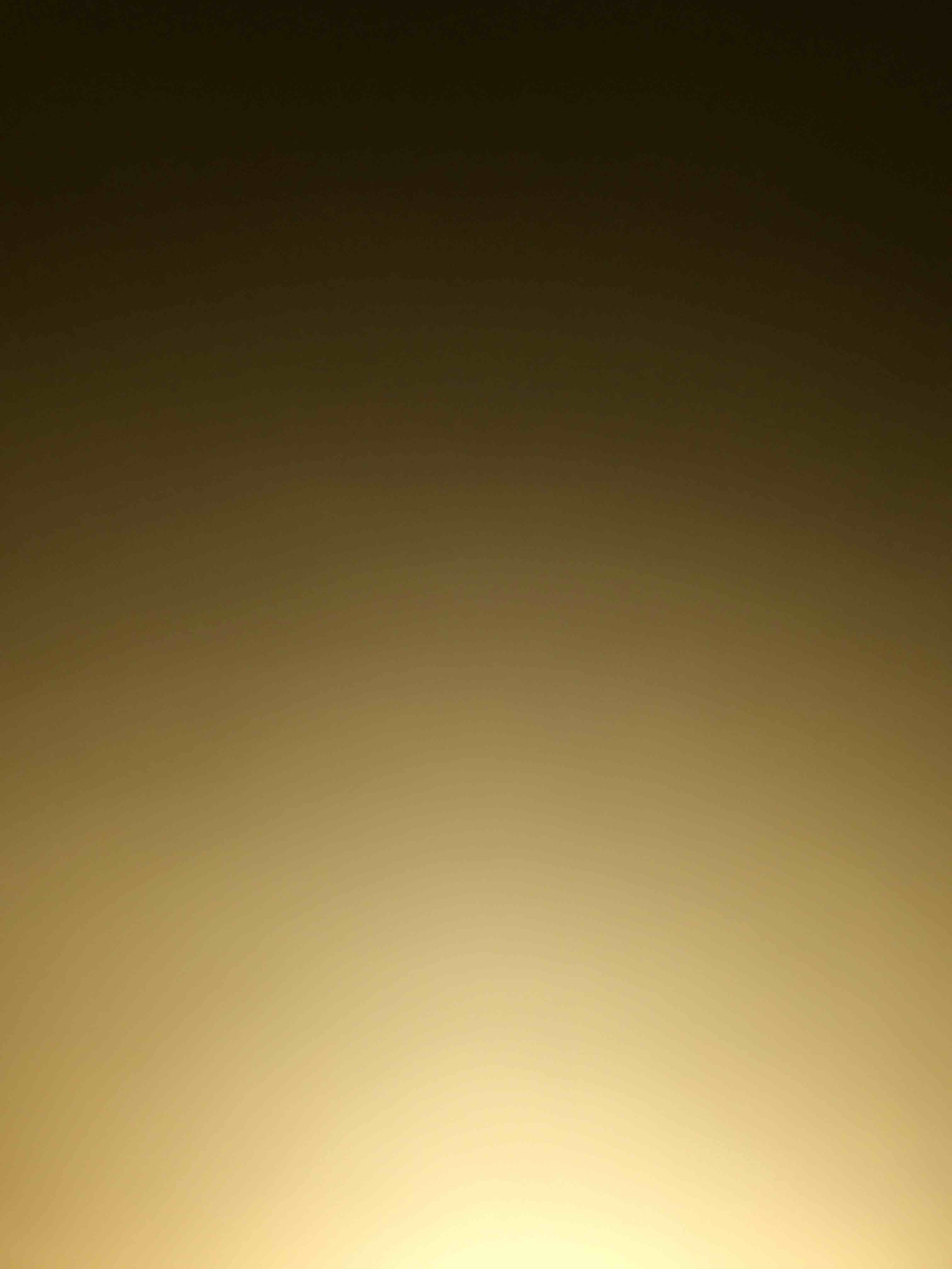 https://s3.amazonaws.com/lotting-images-prod/bidfta/BHL00086291_1701090039730.jpeg