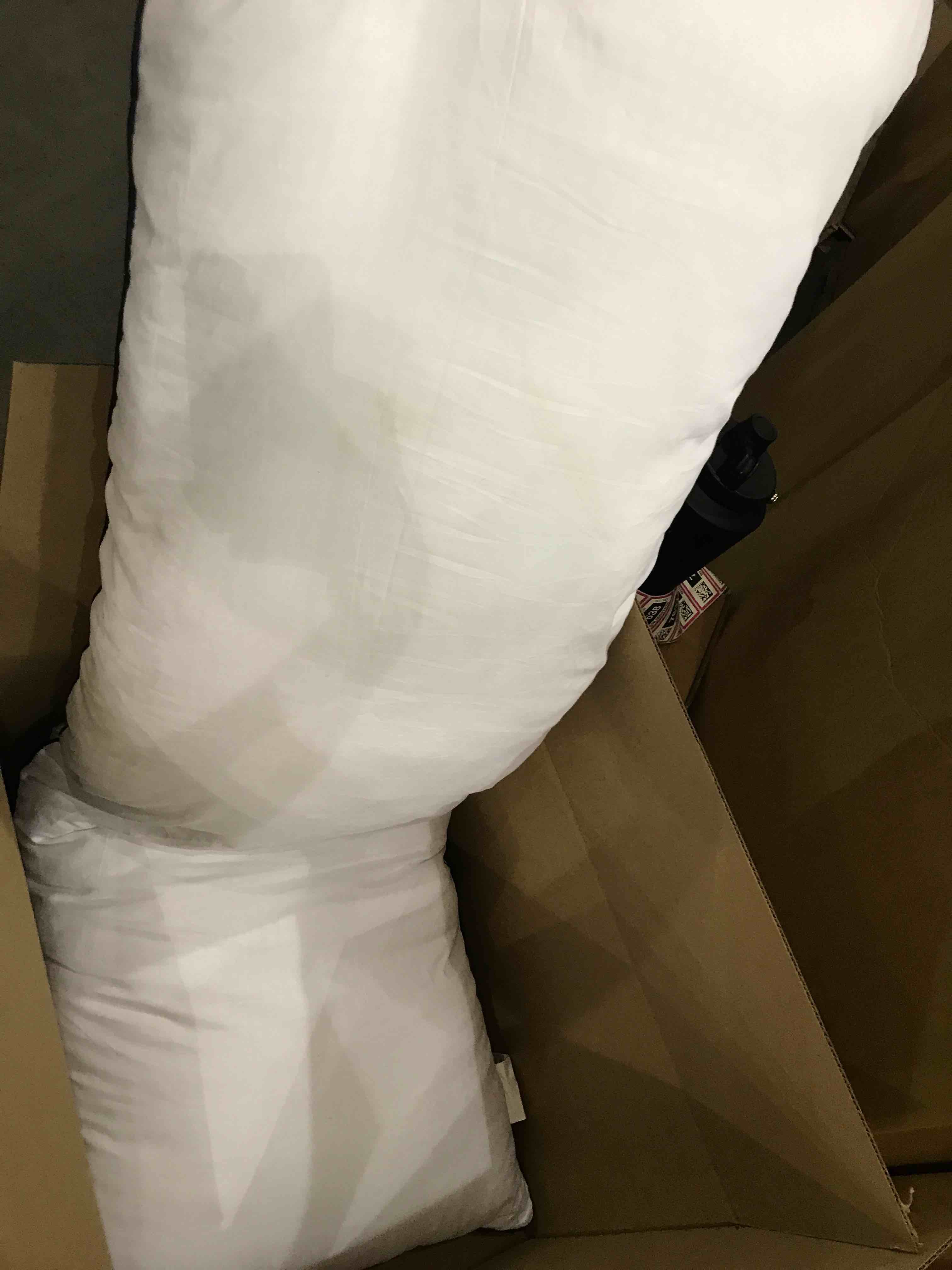 https://s3.amazonaws.com/lotting-images-prod/bidfta/BHL00097645_1693396576115.jpeg