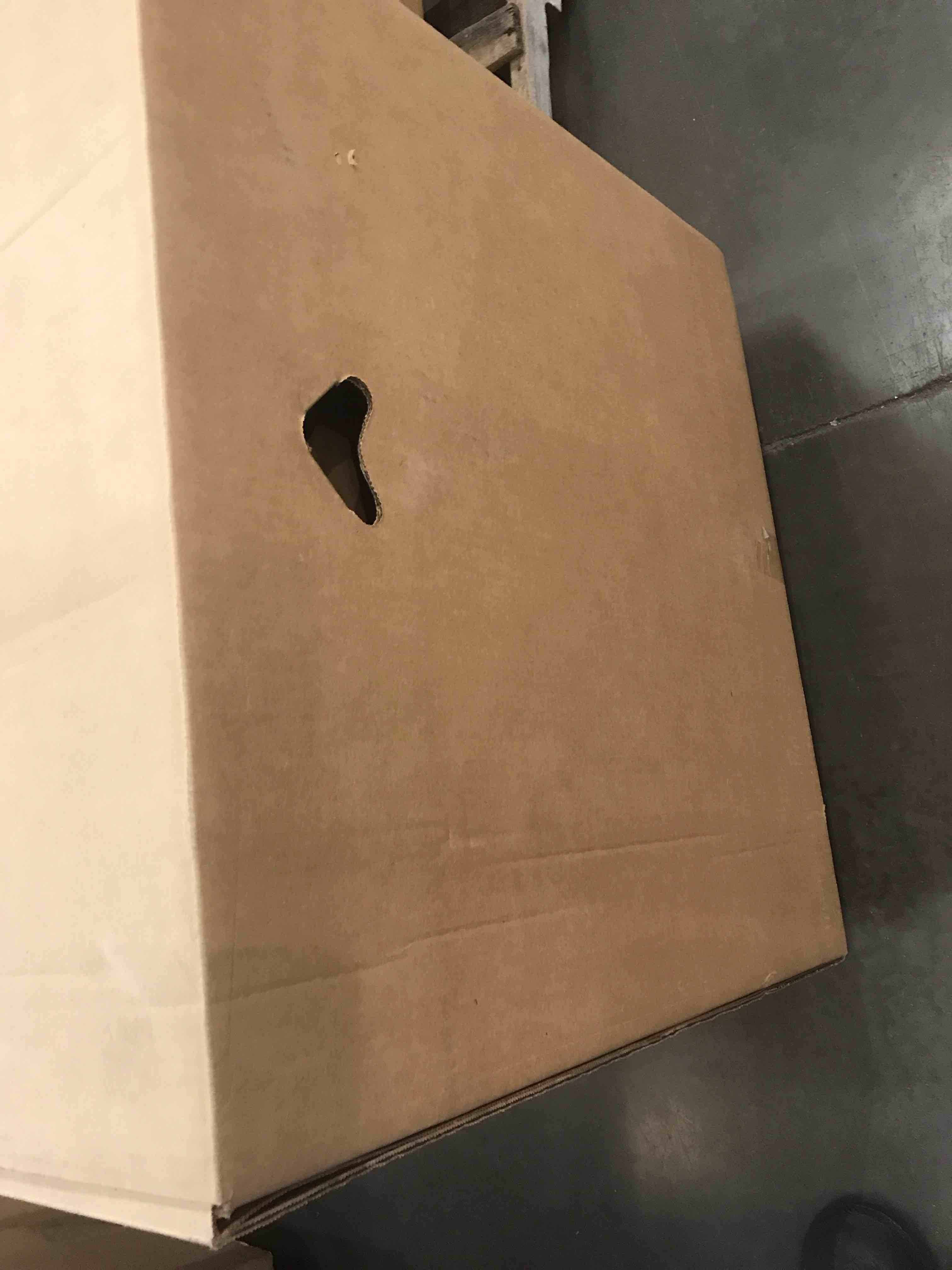 https://s3.amazonaws.com/lotting-images-prod/bidfta/BHL00133713_1704992024306.jpeg
