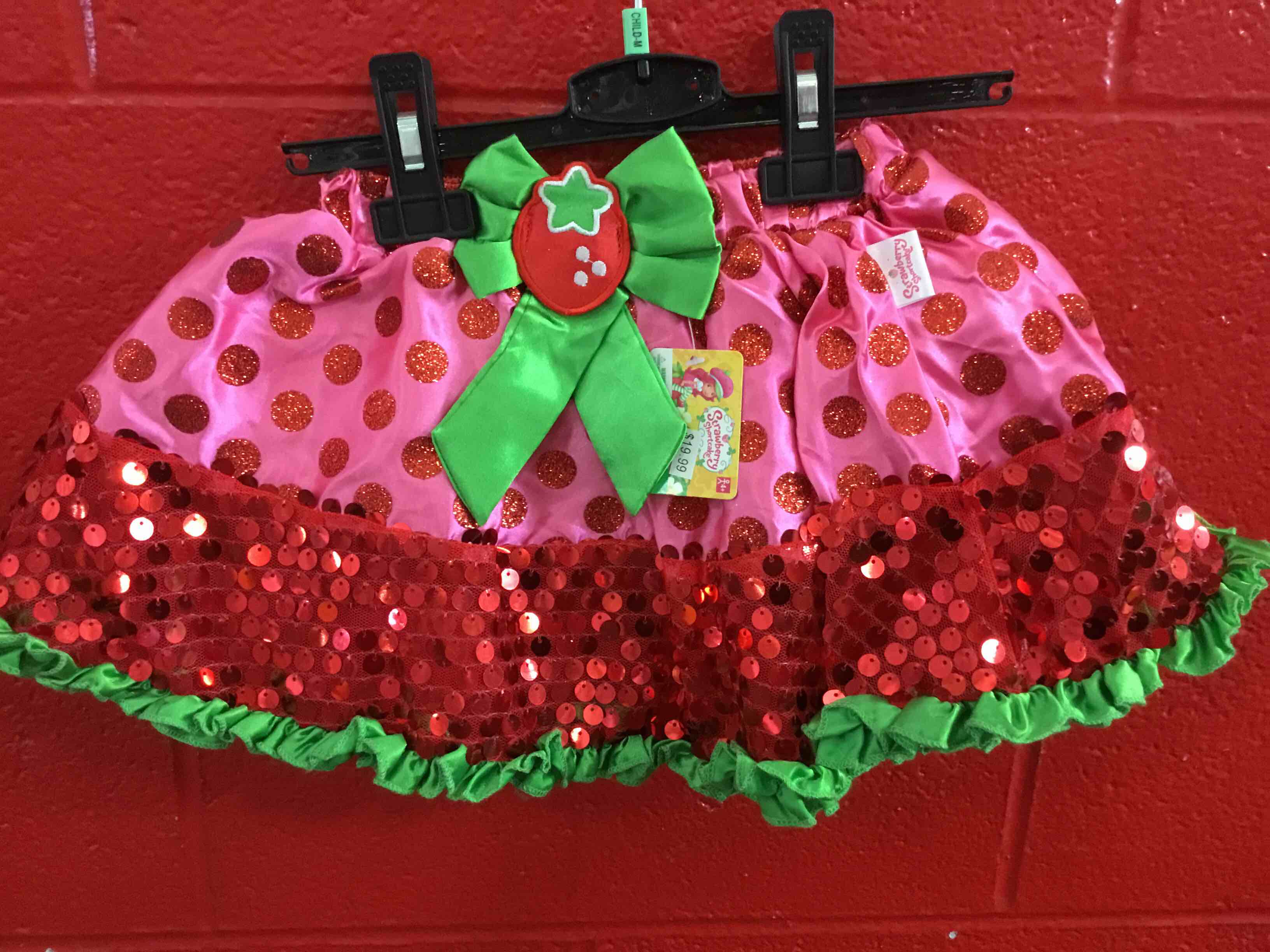 Child Strawberry Shortcake Tutu Costume Accessory 