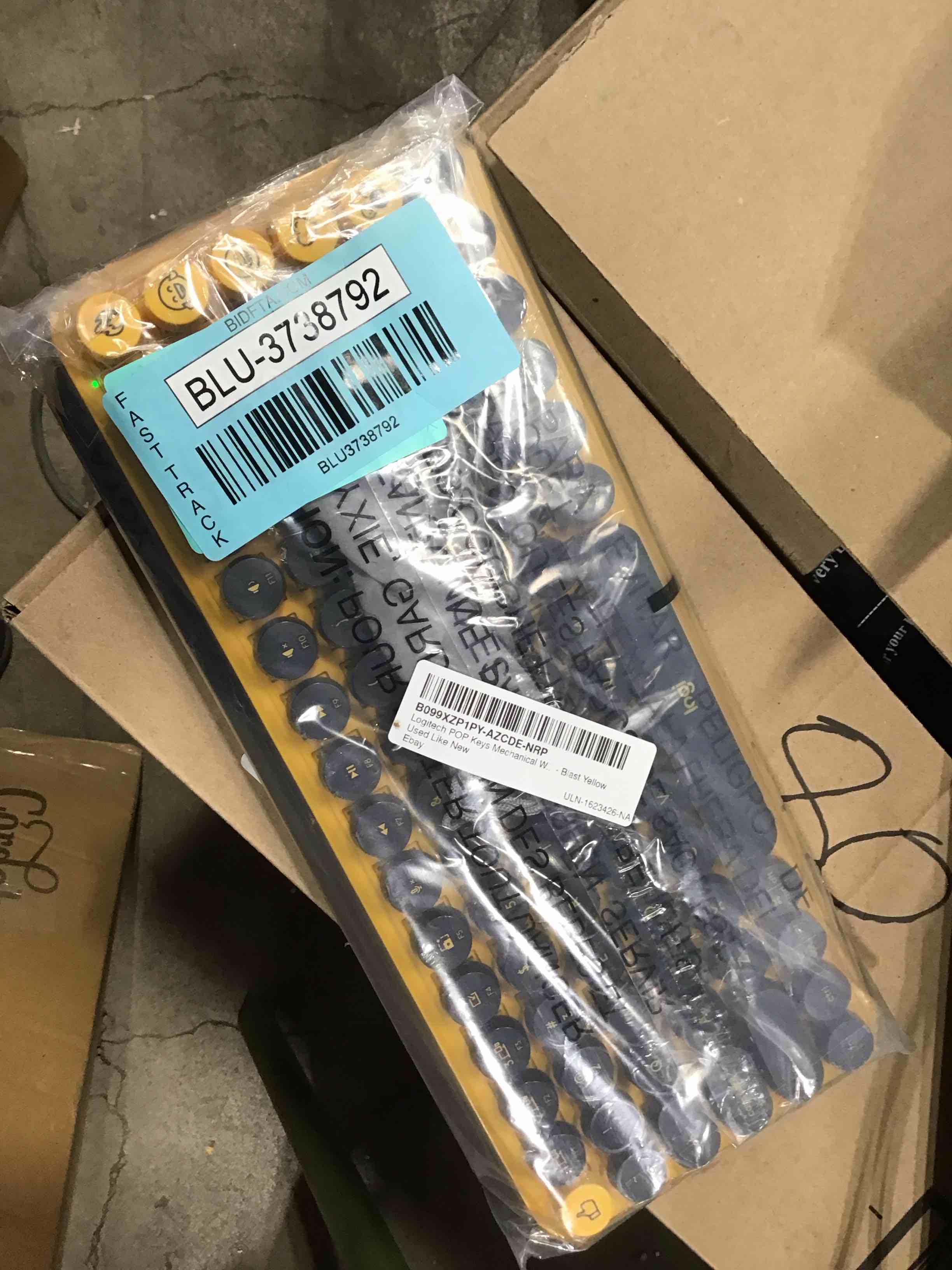 https://s3.amazonaws.com/lotting-images-prod/bidfta/BLU3738792_1734021031468.jpeg