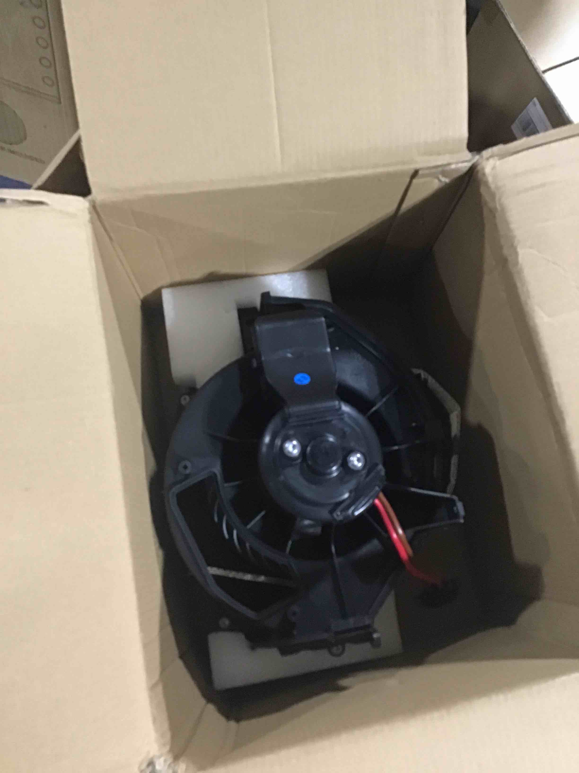 https://s3.amazonaws.com/lotting-images-prod/bidfta/BLU3965837_1684525520244.jpeg