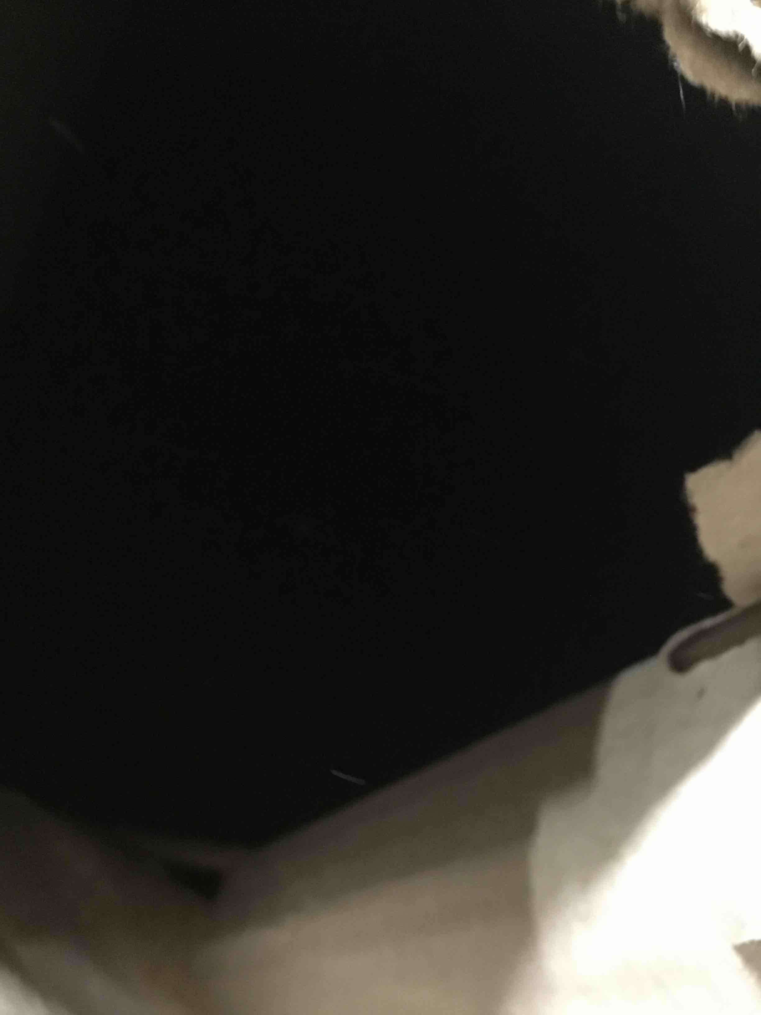 https://s3.amazonaws.com/lotting-images-prod/bidfta/BLU4111588_1708612488937.jpeg