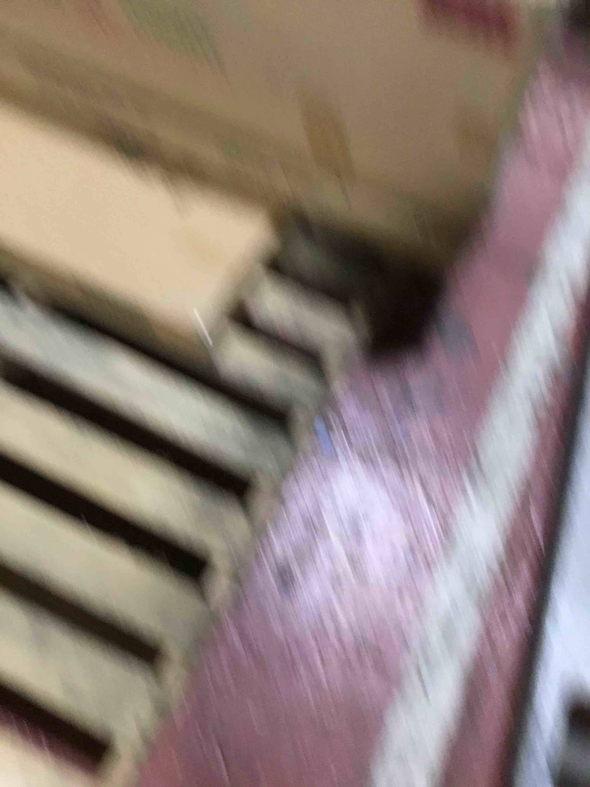 https://s3.amazonaws.com/lotting-images-prod/bidfta/BLU4197289_1703266848627.jpeg