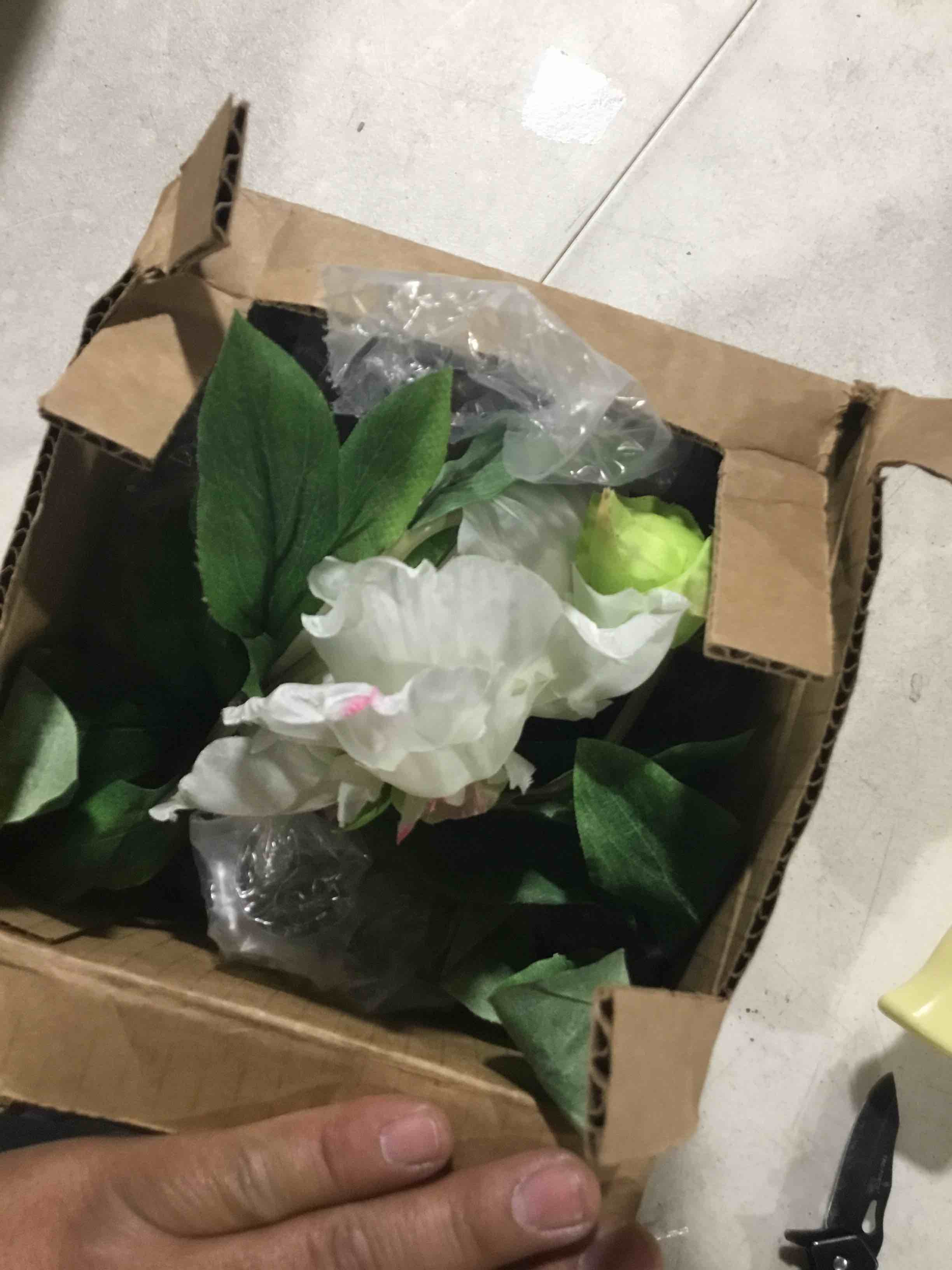 https://s3.amazonaws.com/lotting-images-prod/bidfta/BLU4205311_1708447636121.jpeg
