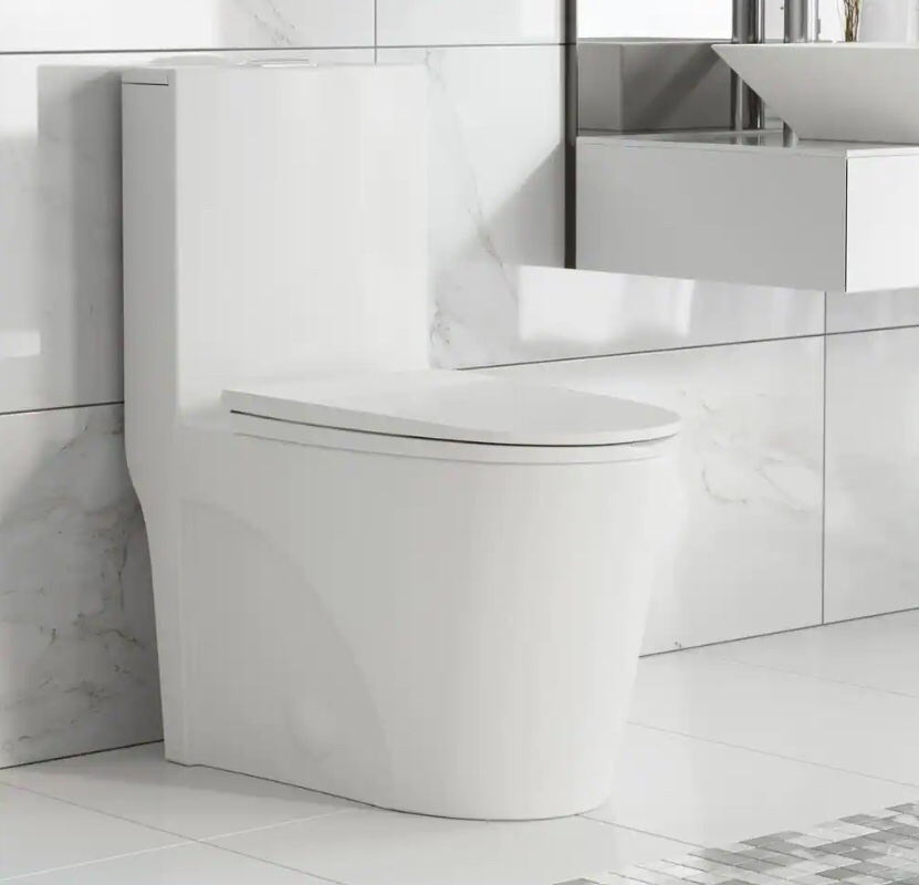 St. Tropez 1-Piece 1.1/1.6 GPF Dual Flush Elongated Toilet in Glossy White, Seat Included