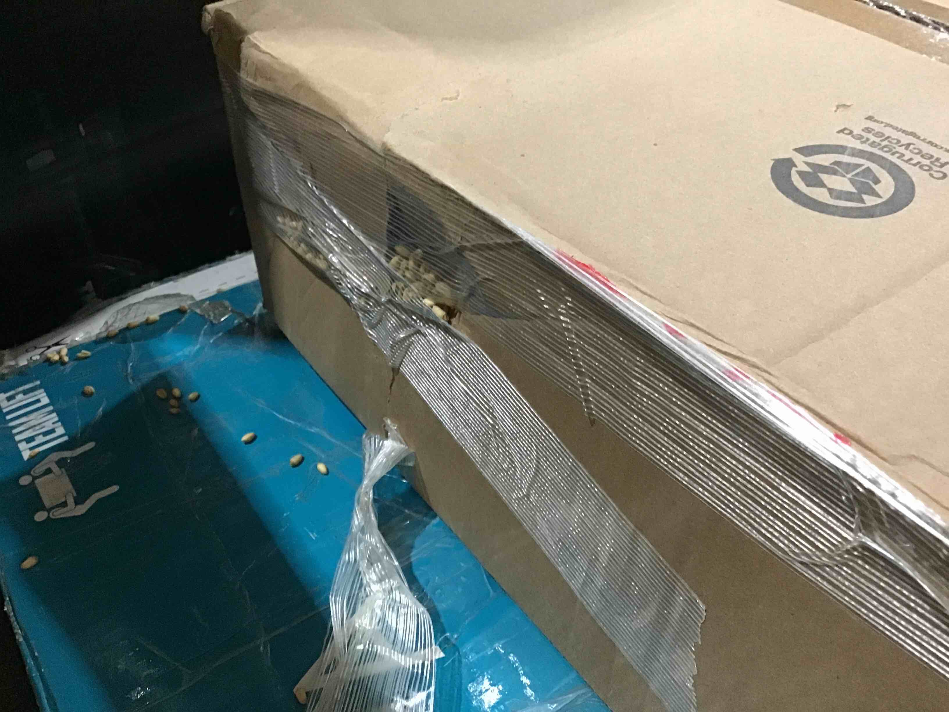 https://s3.amazonaws.com/lotting-images-prod/bidfta/BLU4514067_1695478449780.jpeg