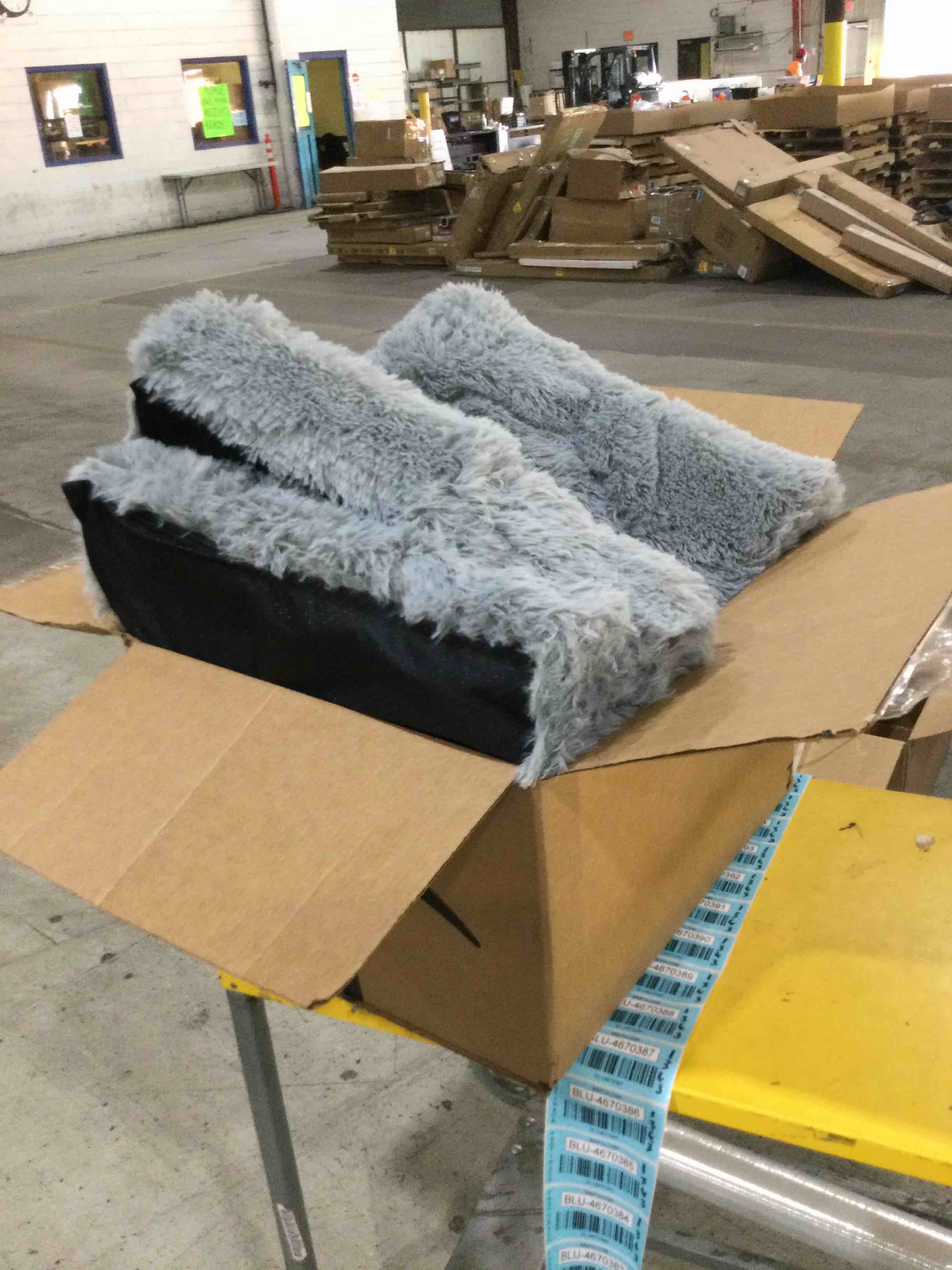 Dog Beds