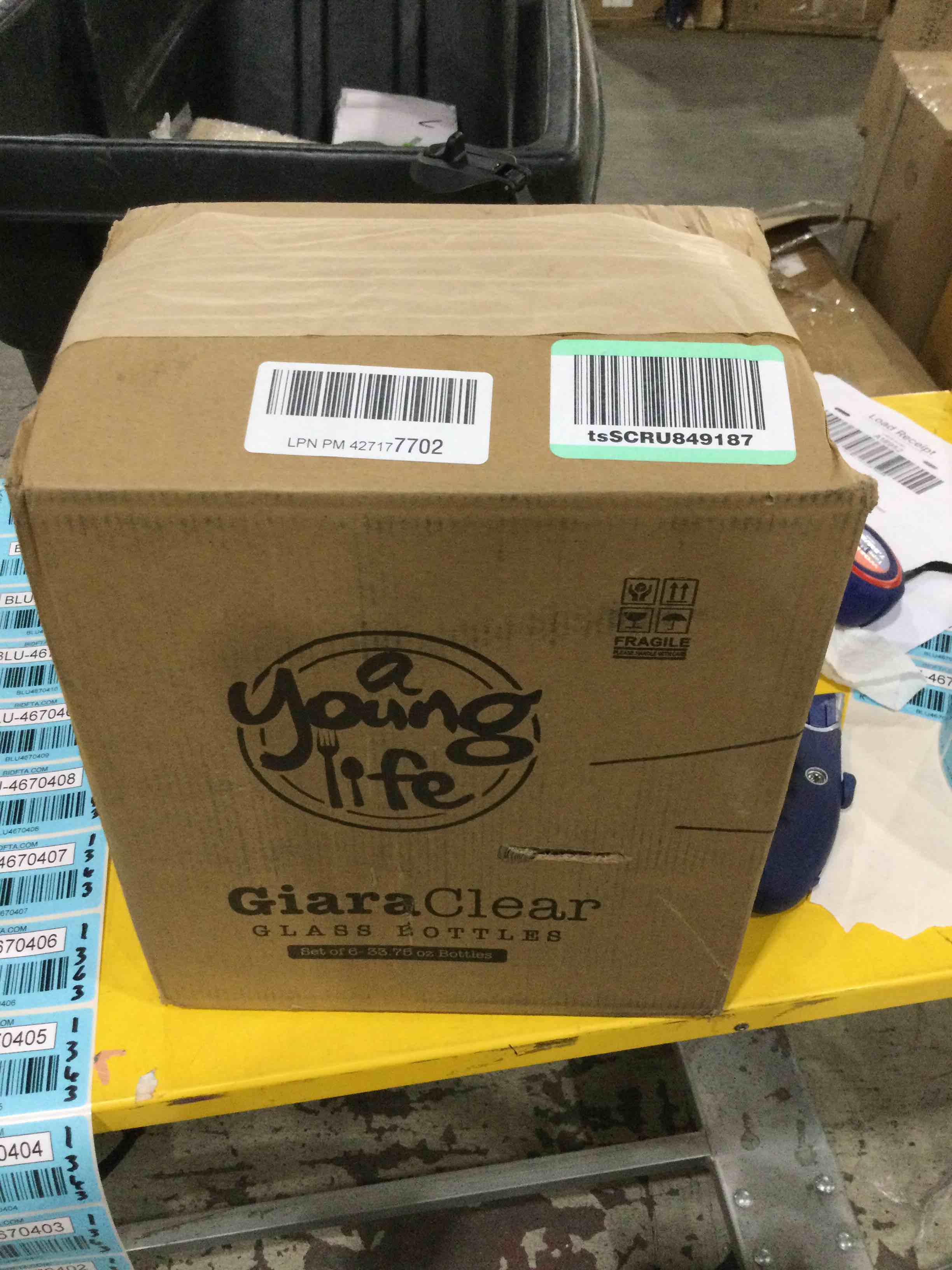 Glass Bottles 
