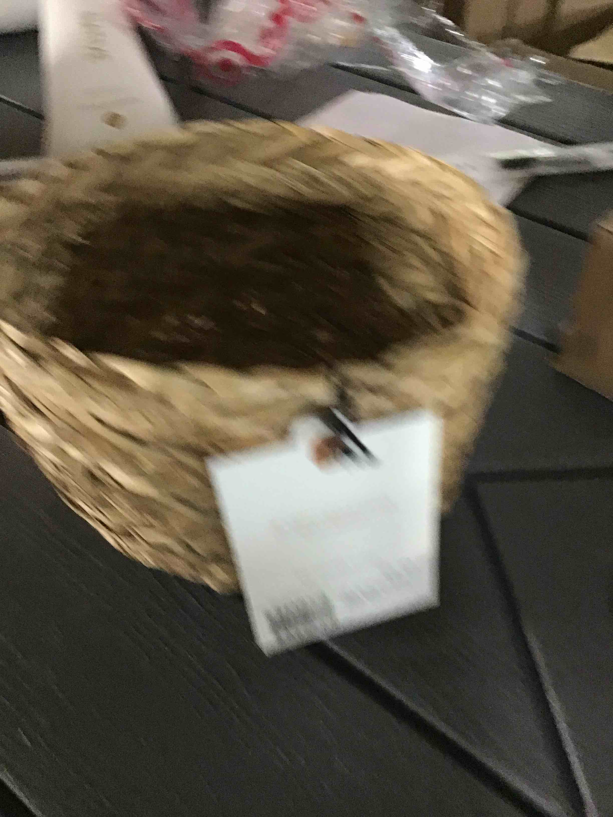 https://s3.amazonaws.com/lotting-images-prod/bidfta/BLU4867593_1686259024550.jpeg