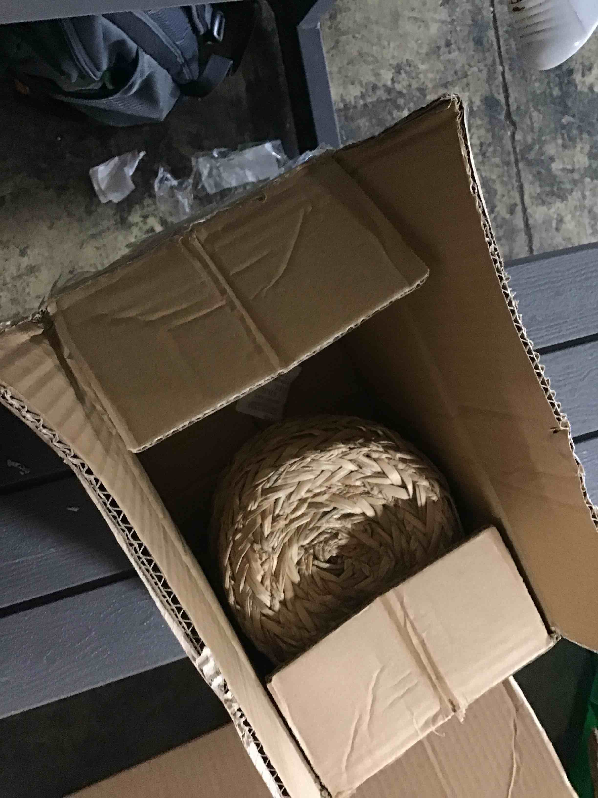 https://s3.amazonaws.com/lotting-images-prod/bidfta/BLU4867593_1686259025977.jpeg