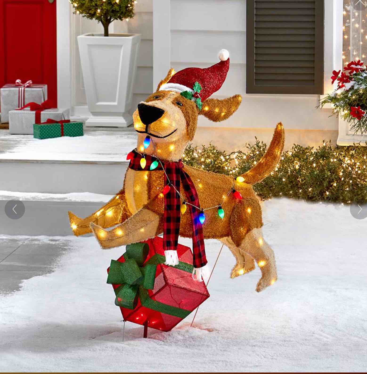 The Jolly Jumping Christmas Pup
