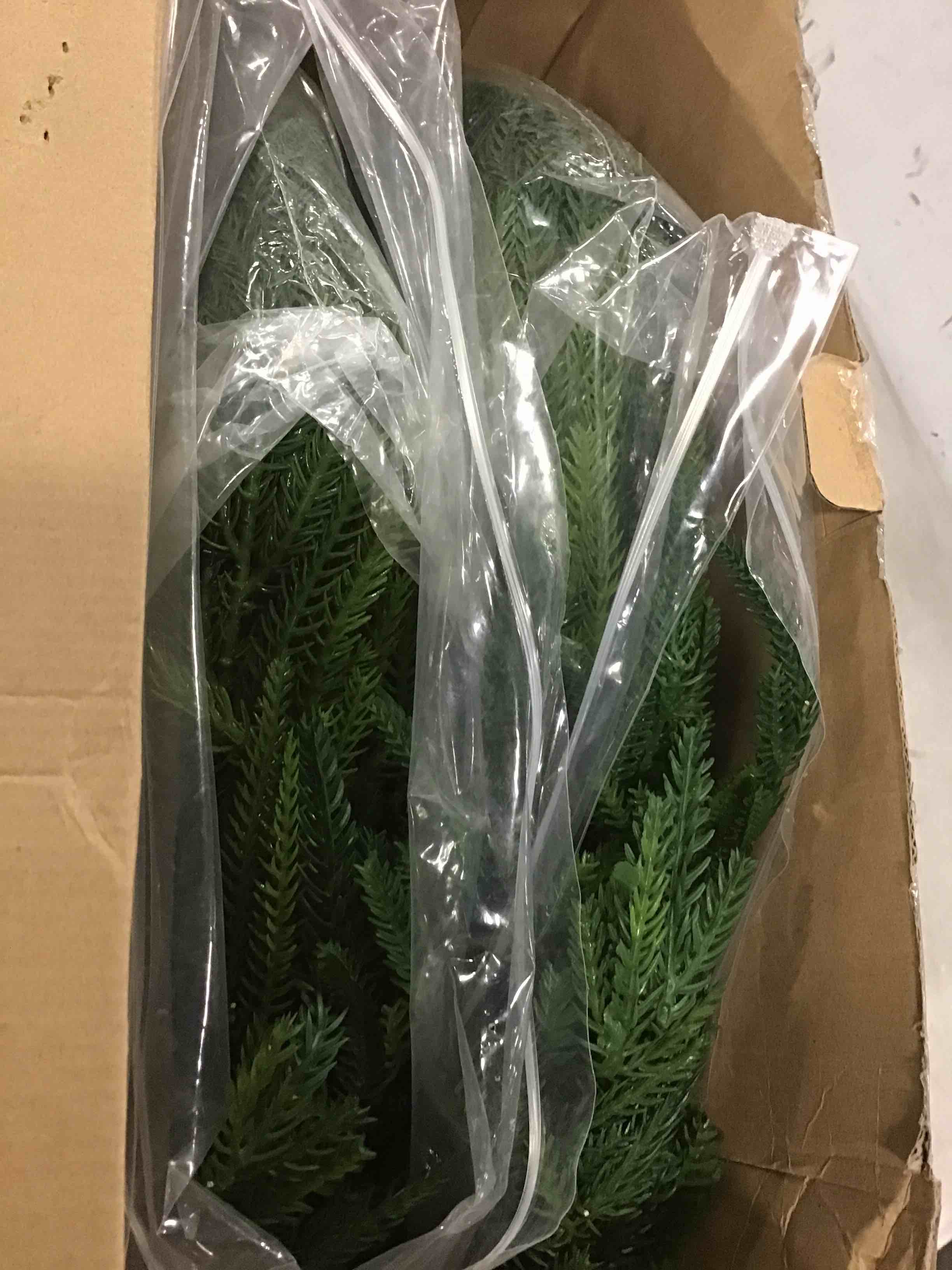 https://s3.amazonaws.com/lotting-images-prod/bidfta/BLU4938084_1705407782735.jpeg