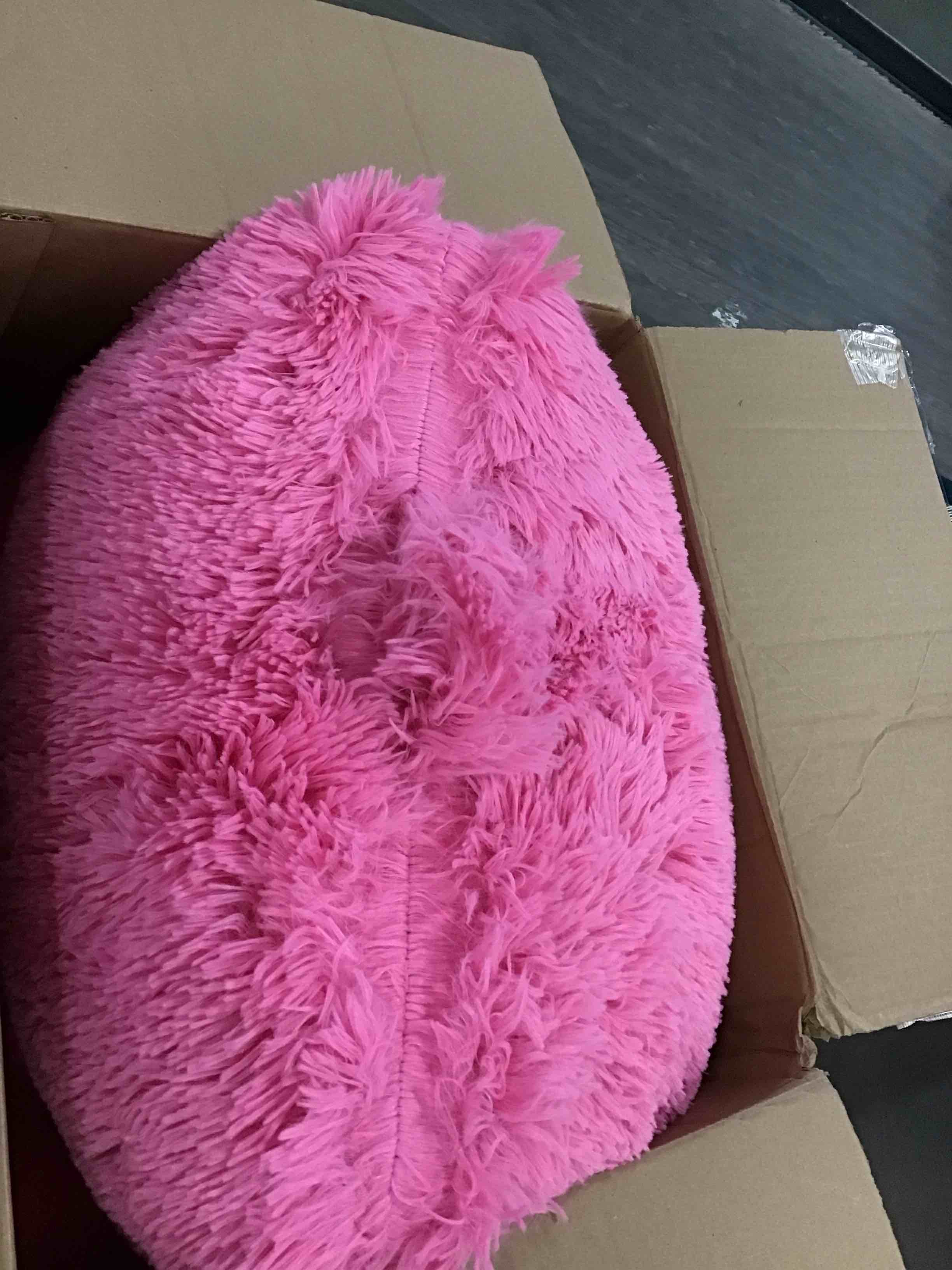 https://s3.amazonaws.com/lotting-images-prod/bidfta/BLU4943450_1704833902637.jpeg