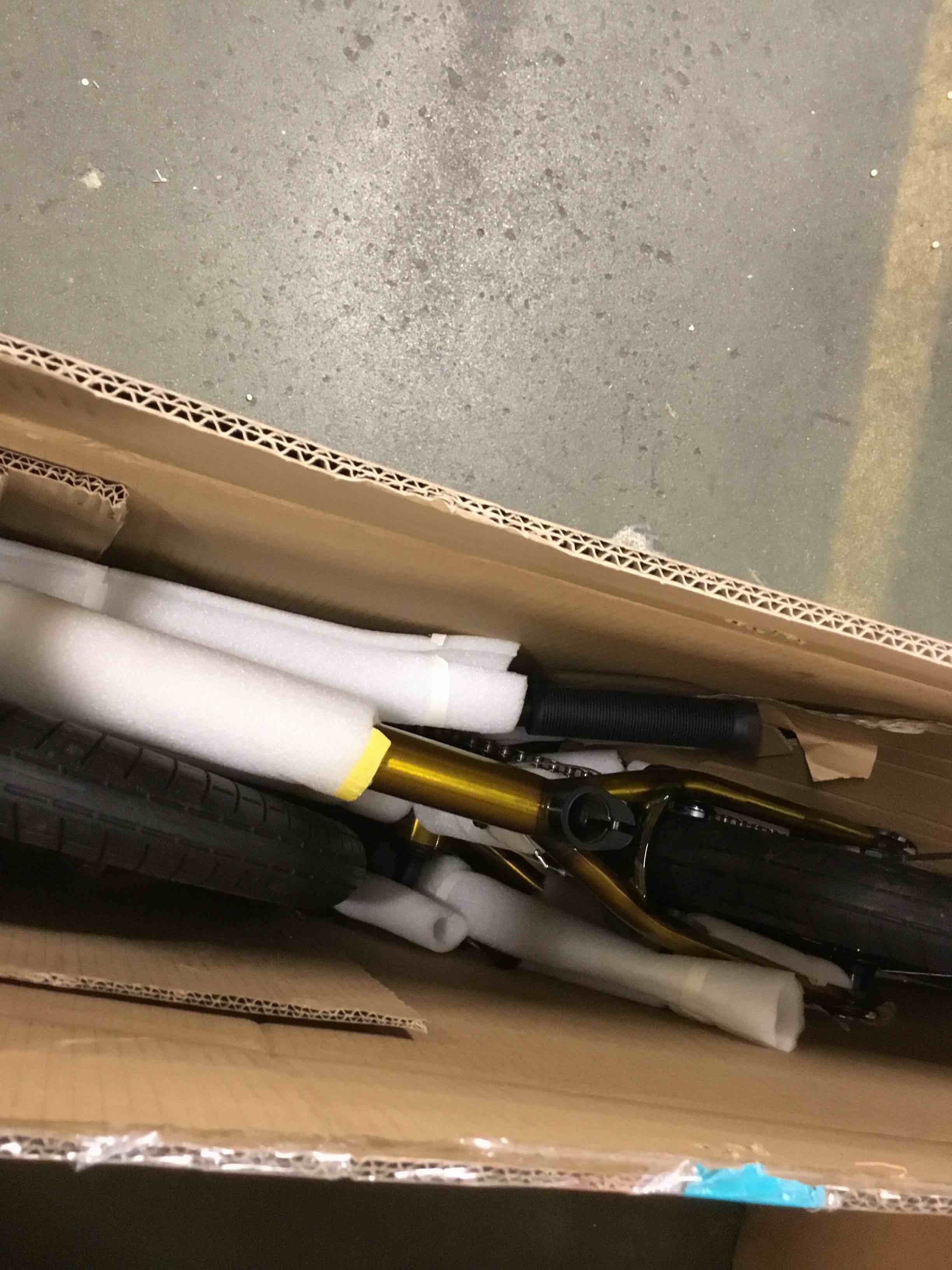 https://s3.amazonaws.com/lotting-images-prod/bidfta/BLU4943499_1704894163863.jpeg