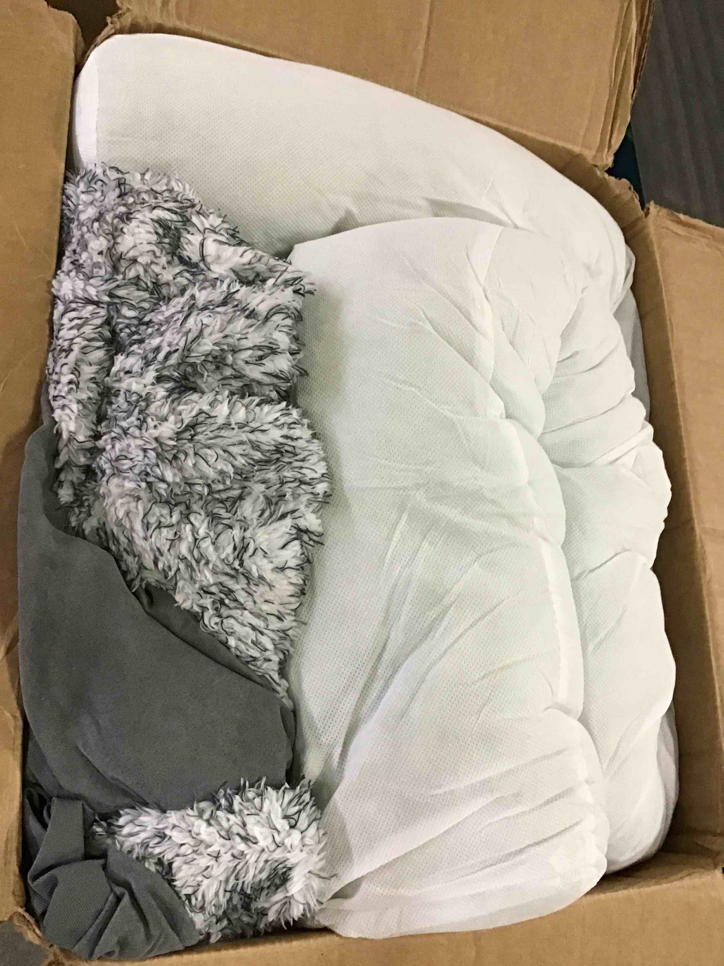 https://s3.amazonaws.com/lotting-images-prod/bidfta/BLU4956713_1695062378256.jpeg