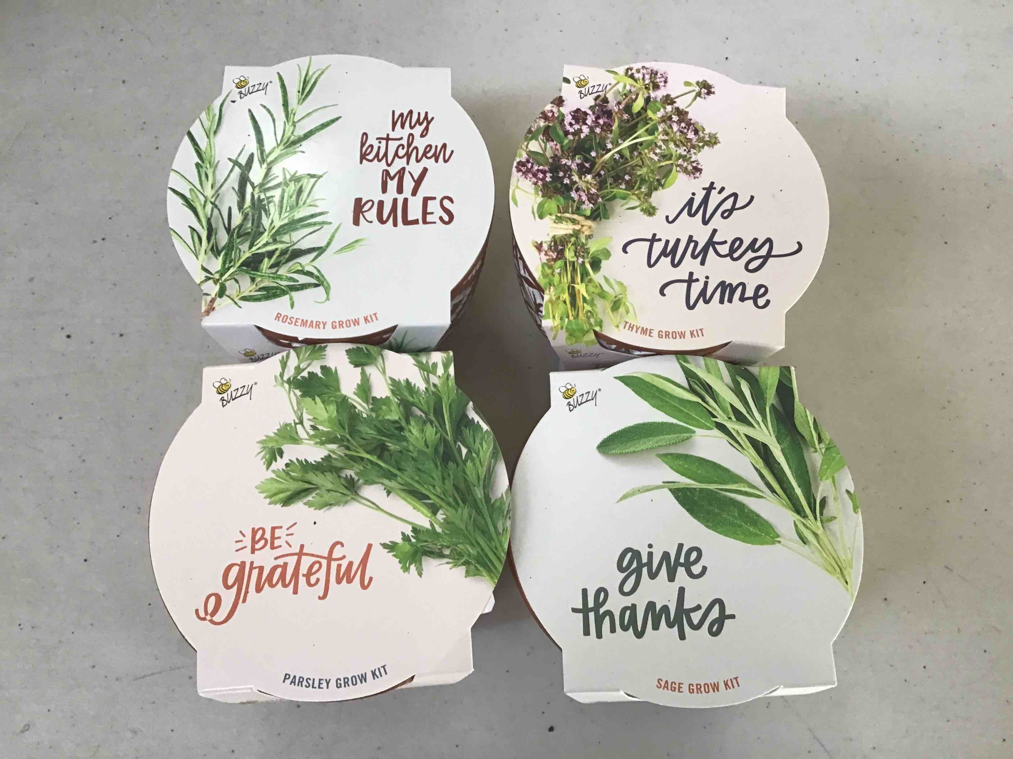 Buzzy Kit includes pot, seeds ( Sage, Thyme, Prasley, Rosemary)