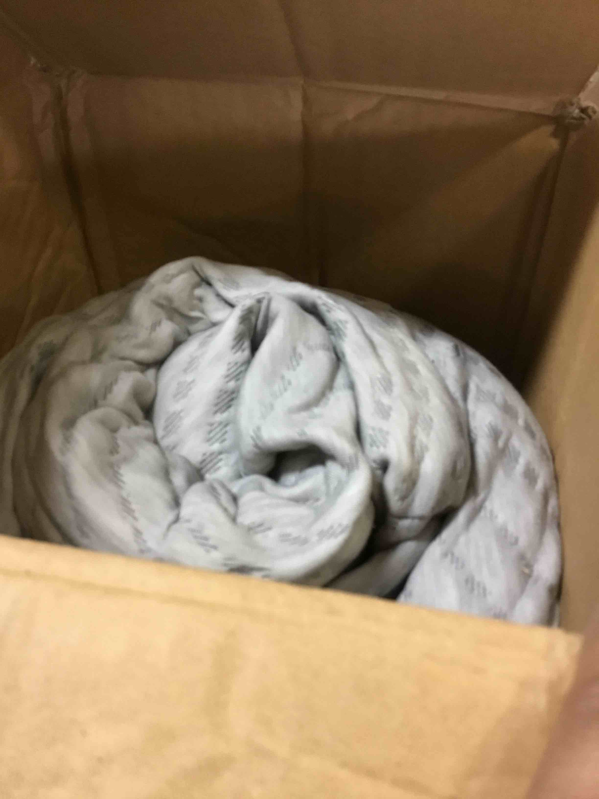 https://s3.amazonaws.com/lotting-images-prod/bidfta/BLU5001386_1702917258756.jpeg