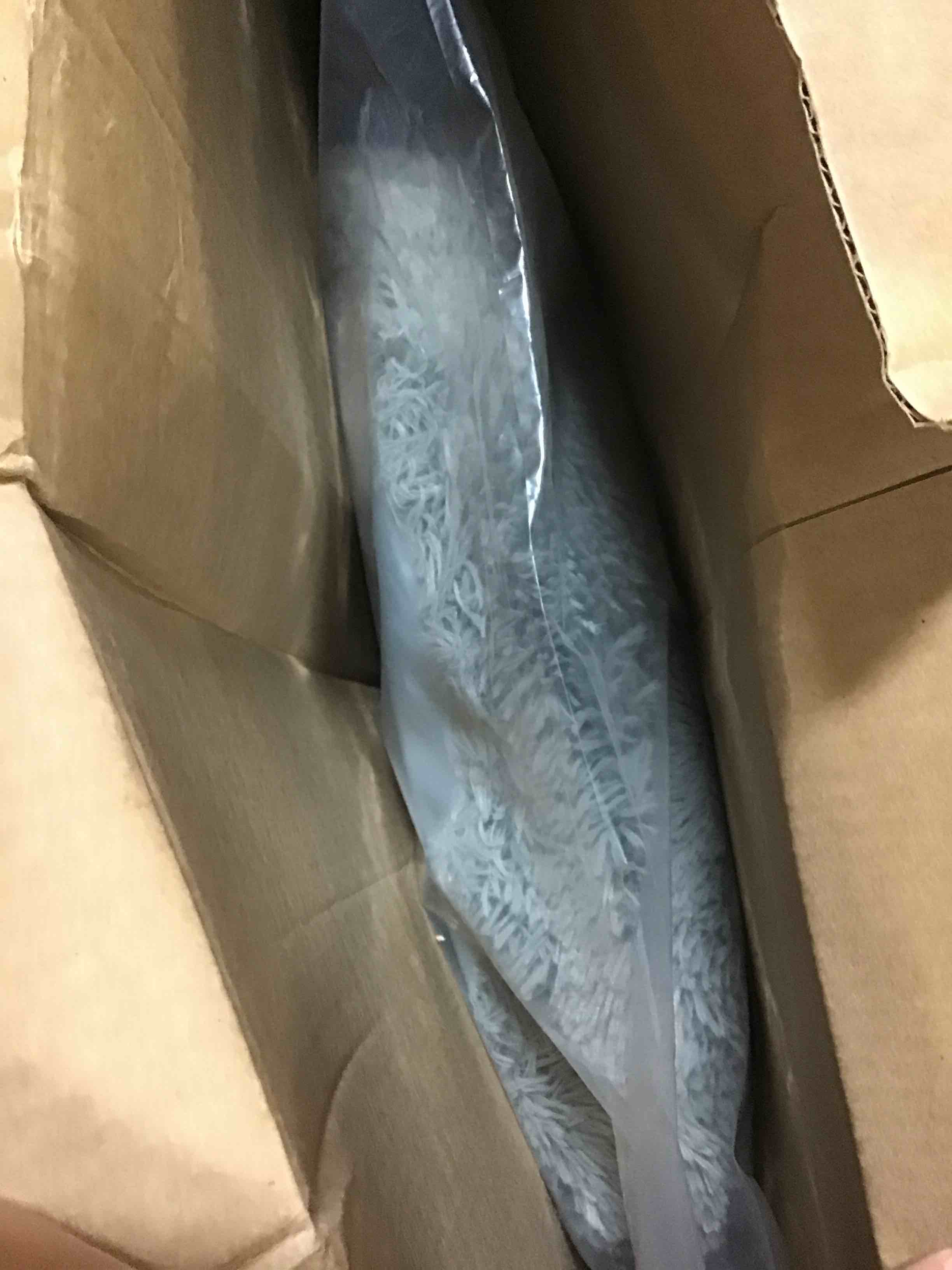 https://s3.amazonaws.com/lotting-images-prod/bidfta/BLU5011424_1694088933017.jpeg
